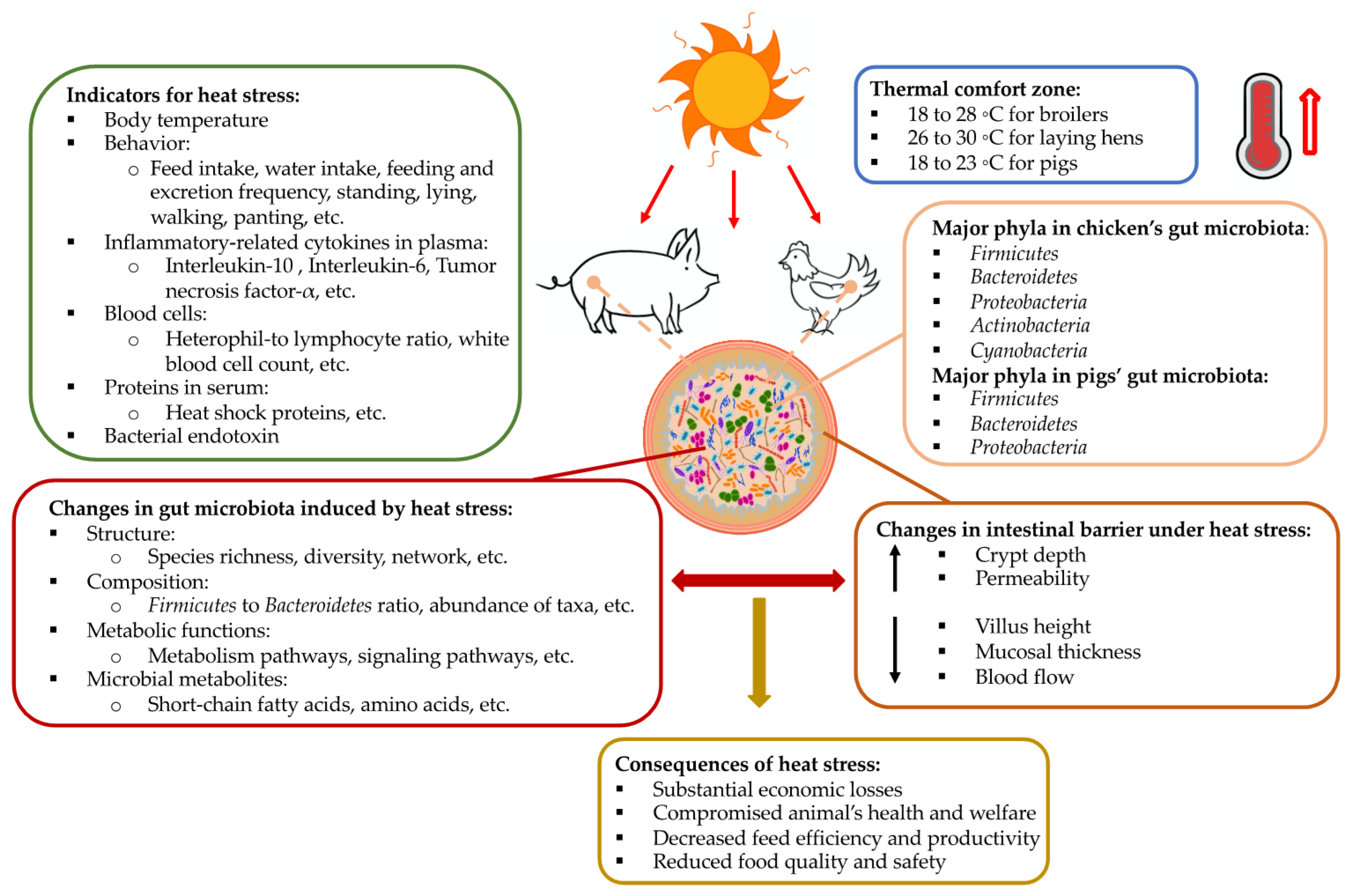 Animals 11 01833 g001