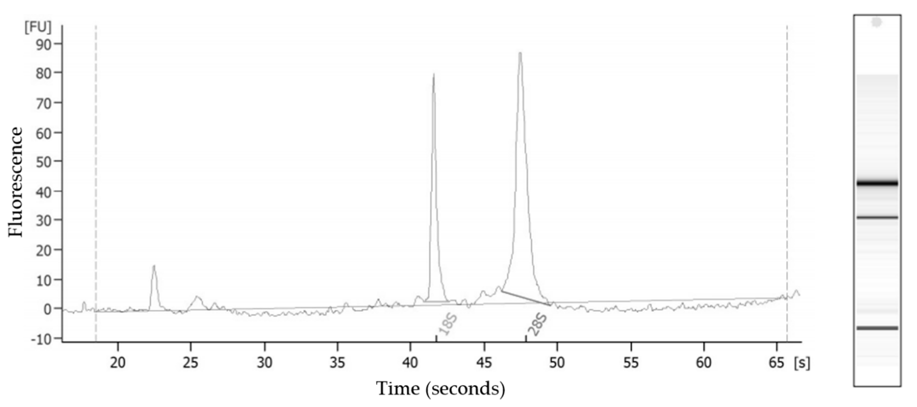 Animals 11 01847 g001