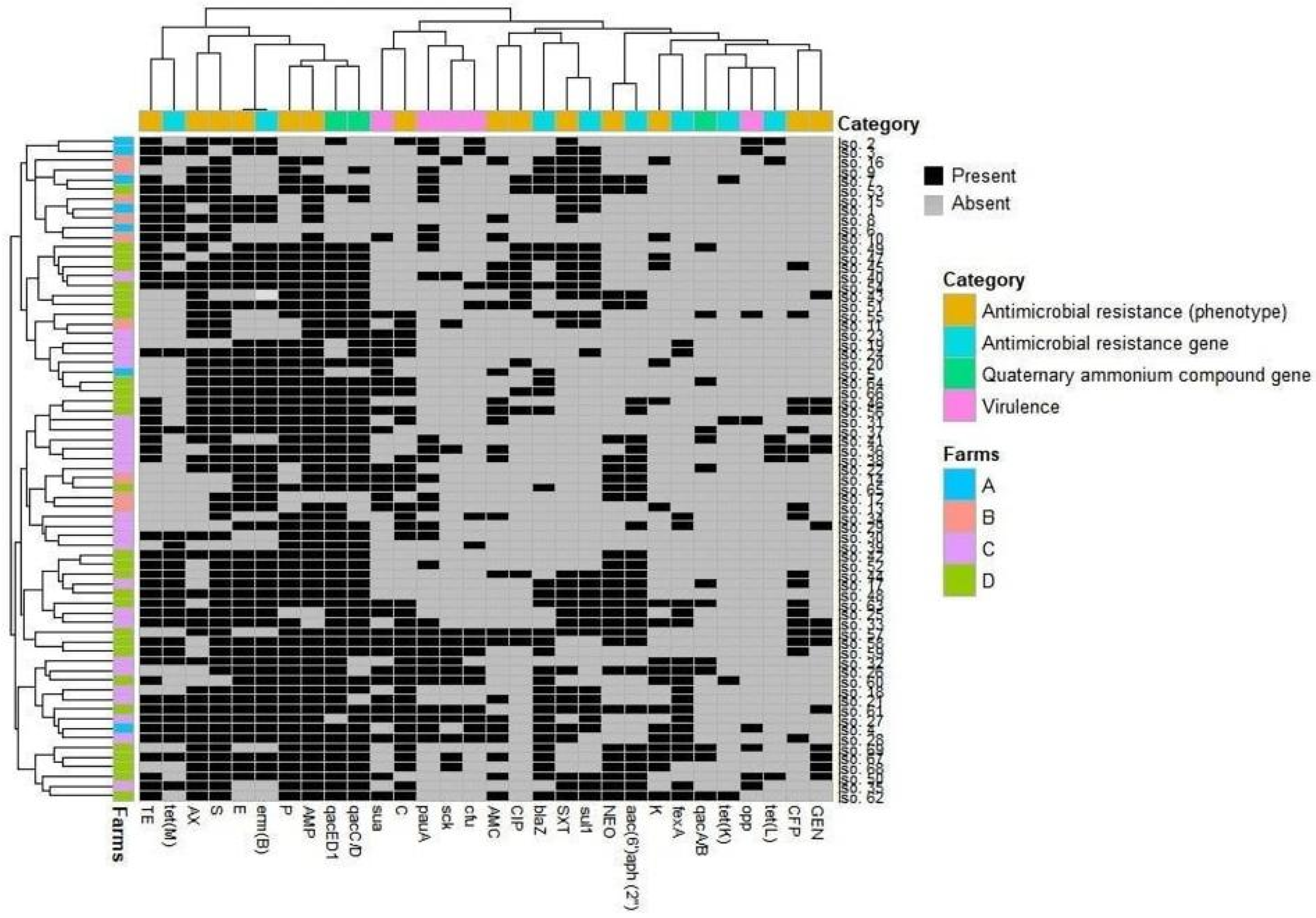 Animals 11 01849 g001
