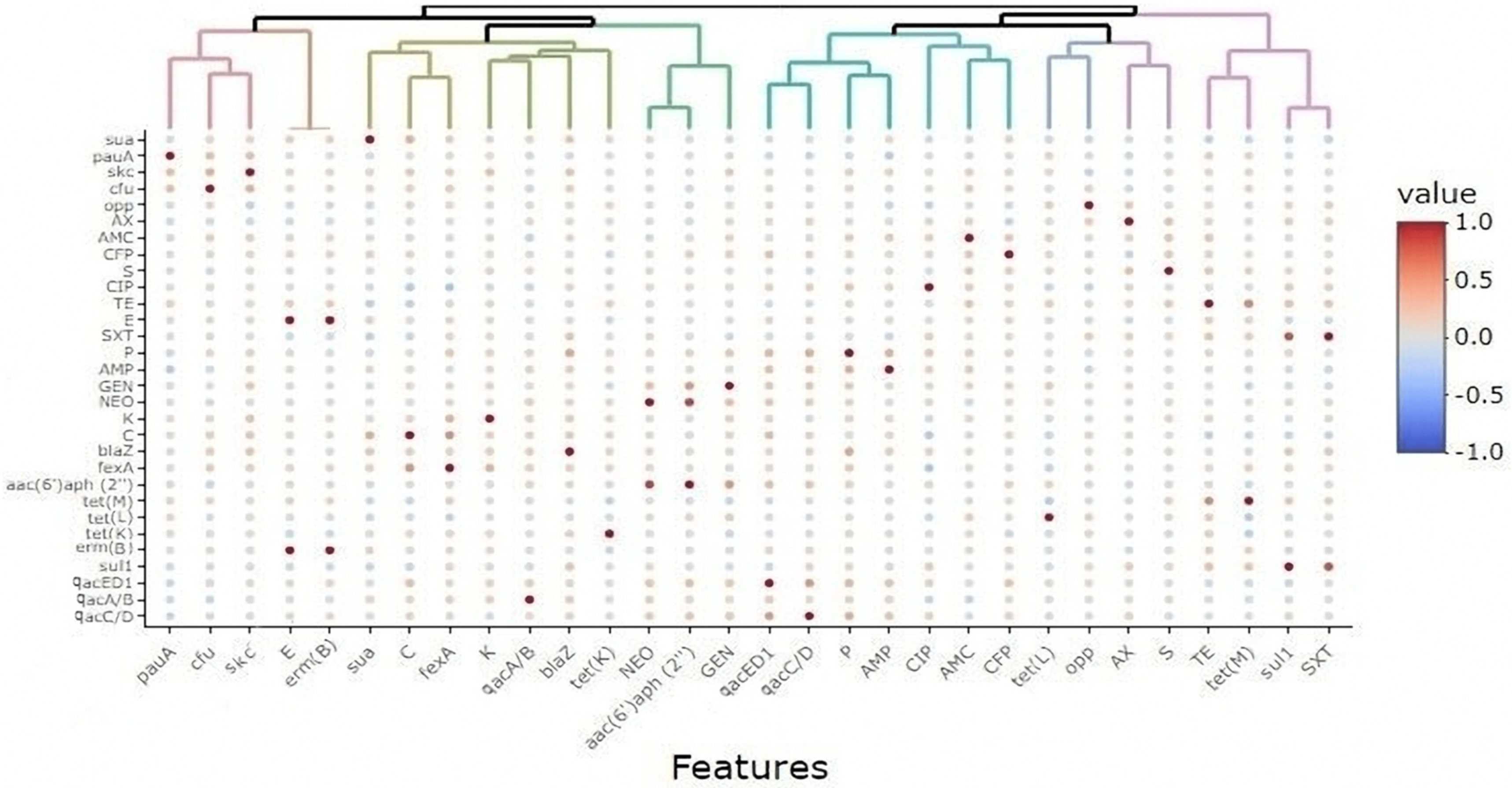 Animals 11 01849 g002