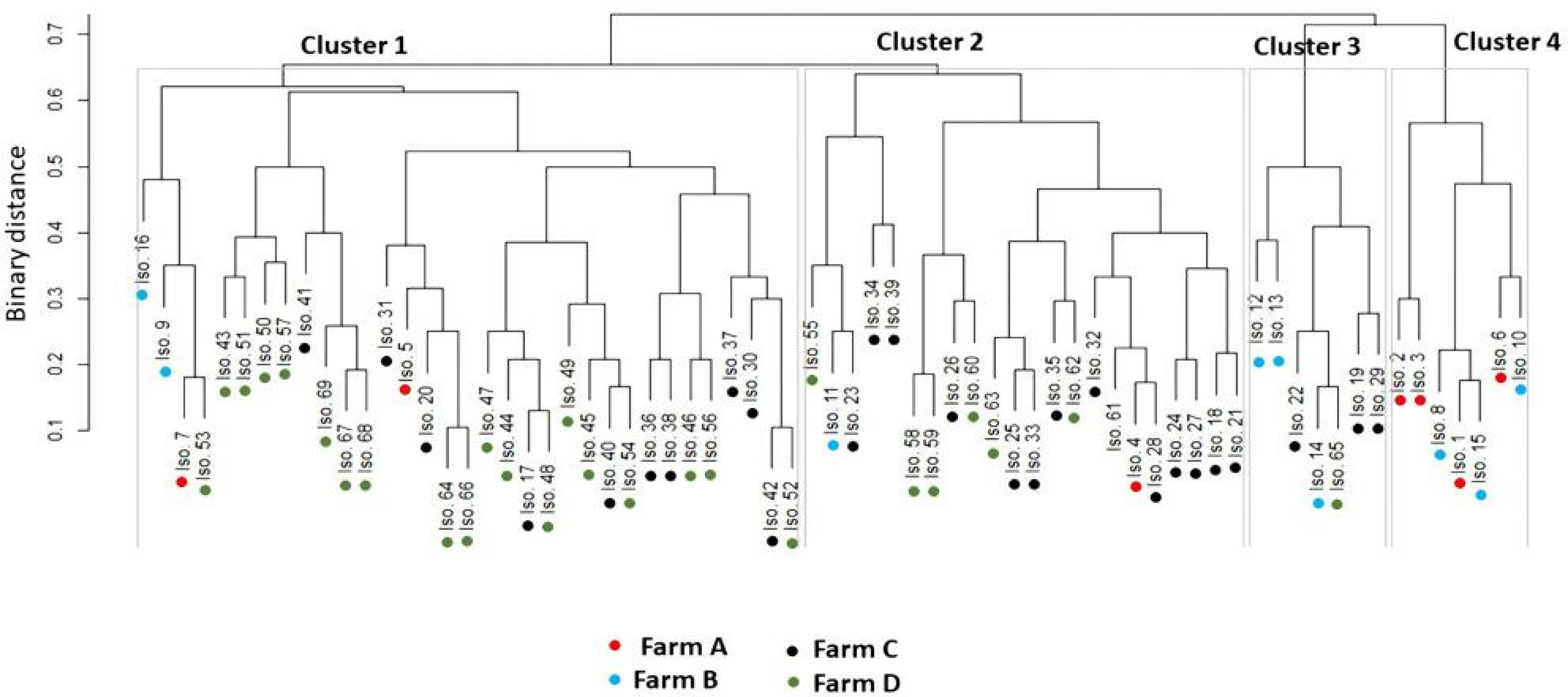 Animals 11 01849 g005