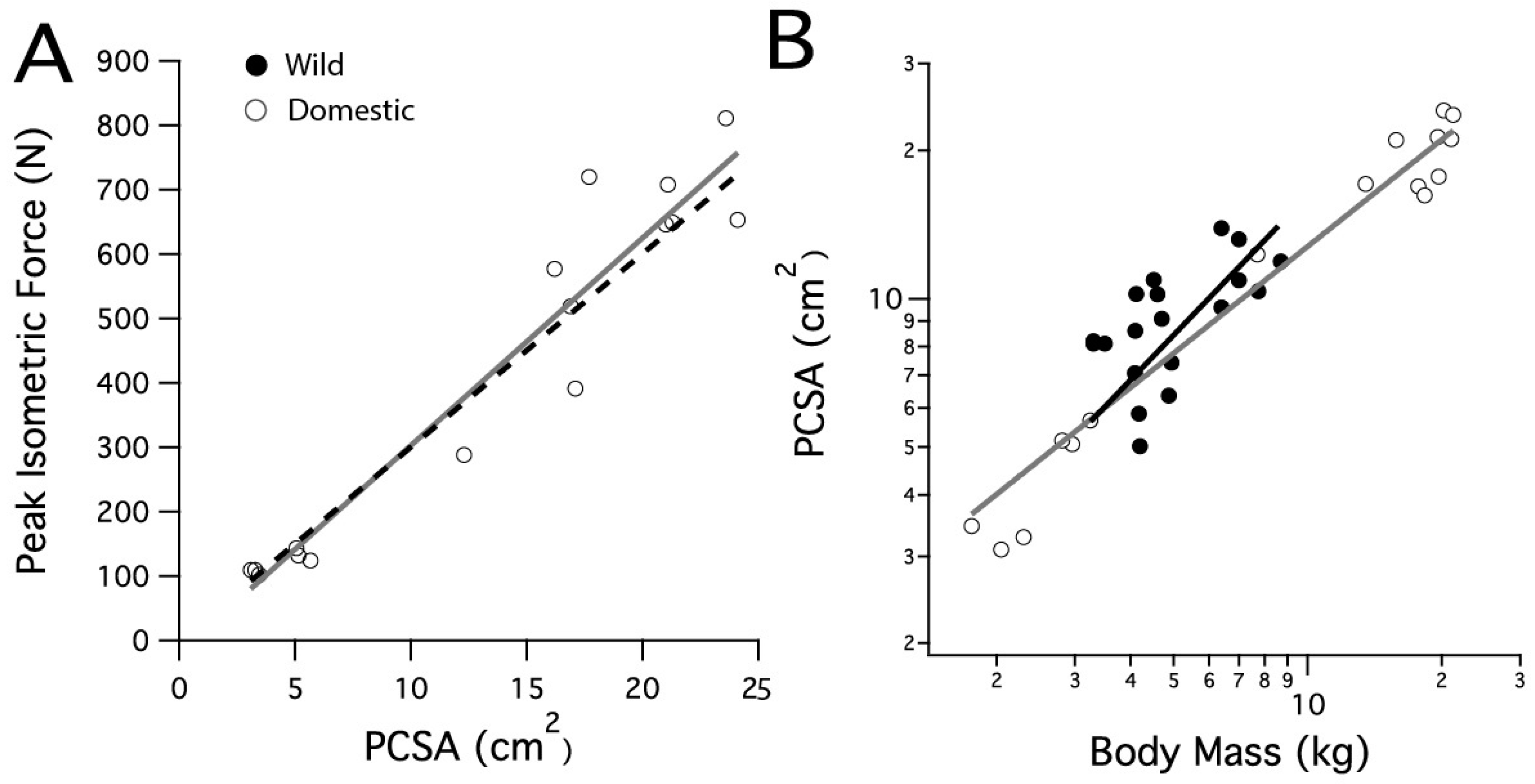 Animals 11 01850 g001