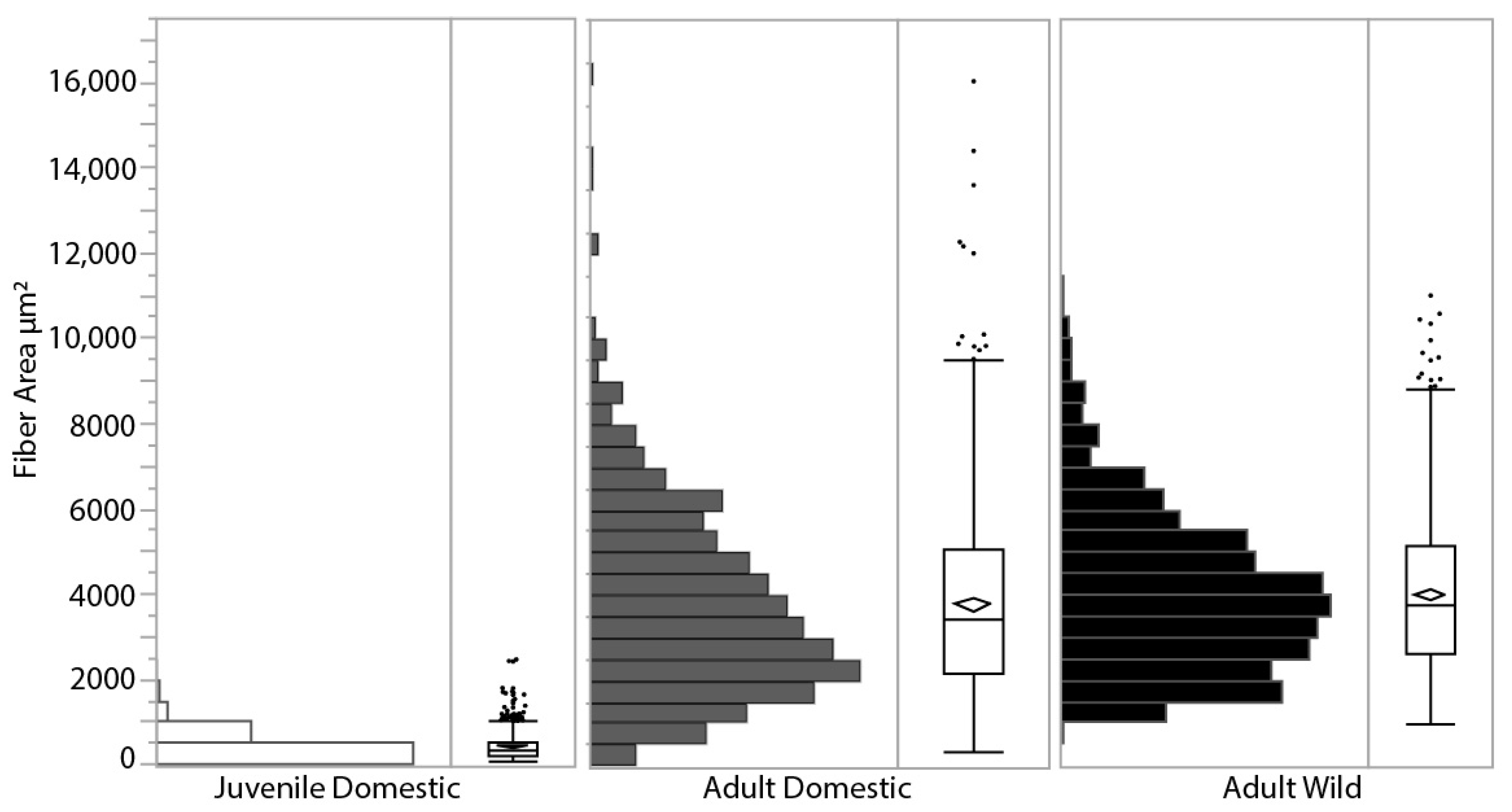 Animals 11 01850 g004