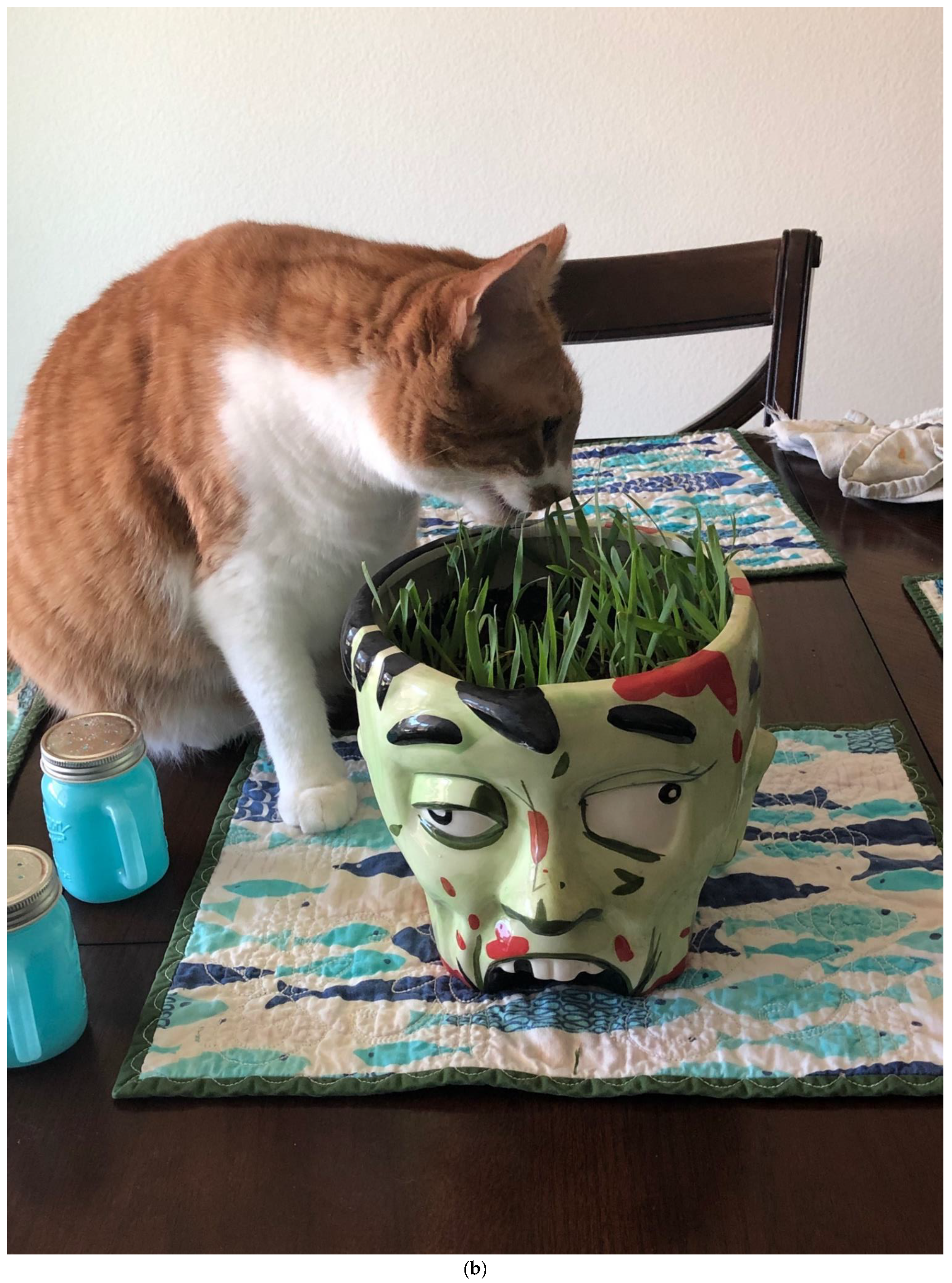 Animals 11 01853 g001b