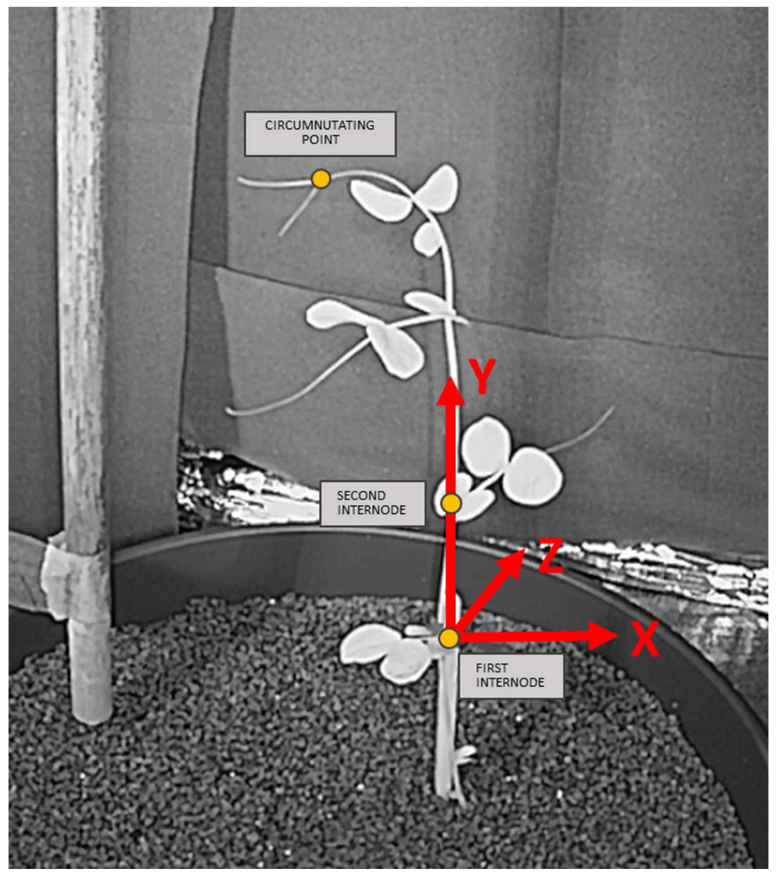 Animals 11 01854 g002