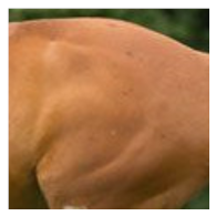Animals 11 01859 i003