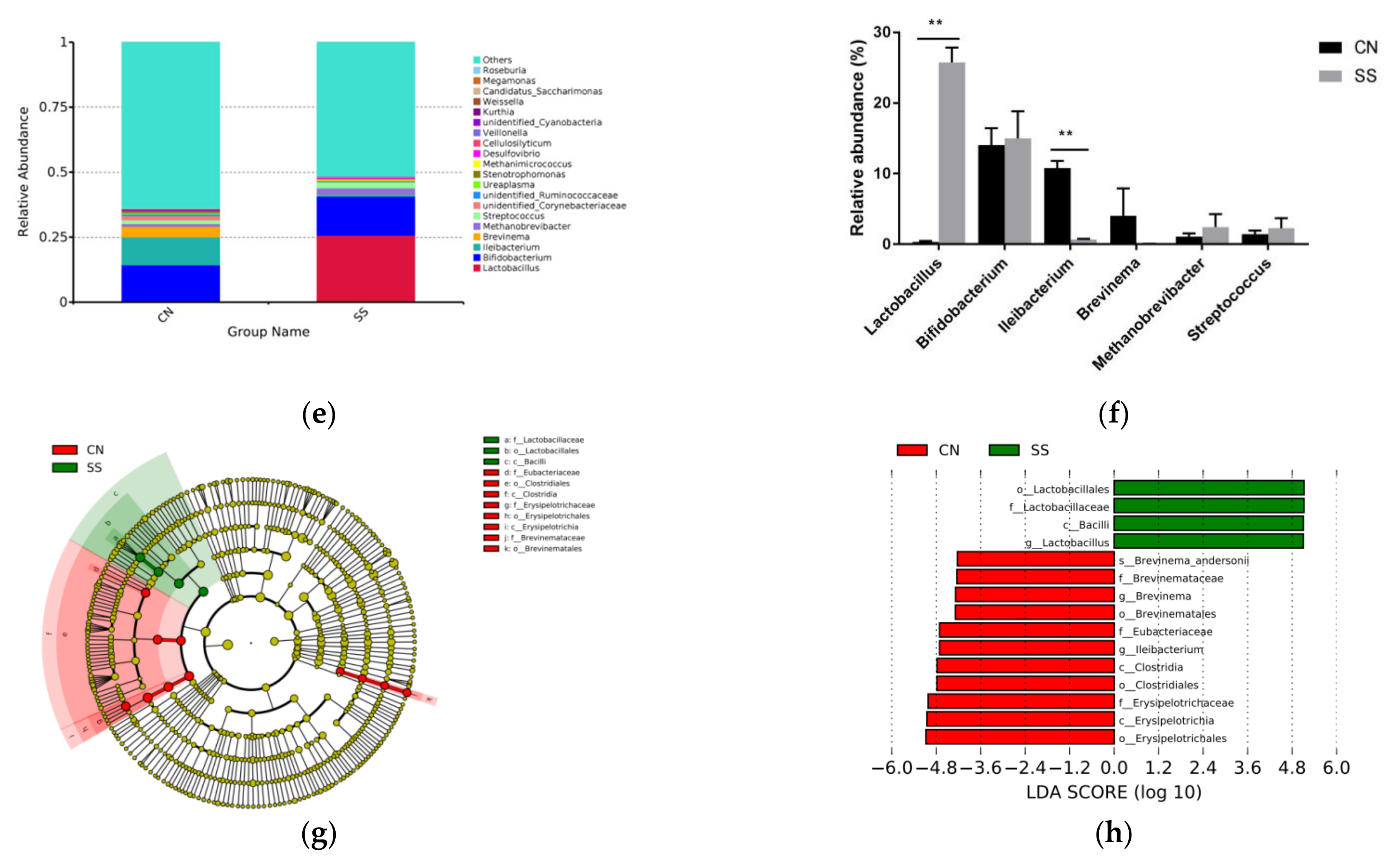 Animals 11 01875 g005b