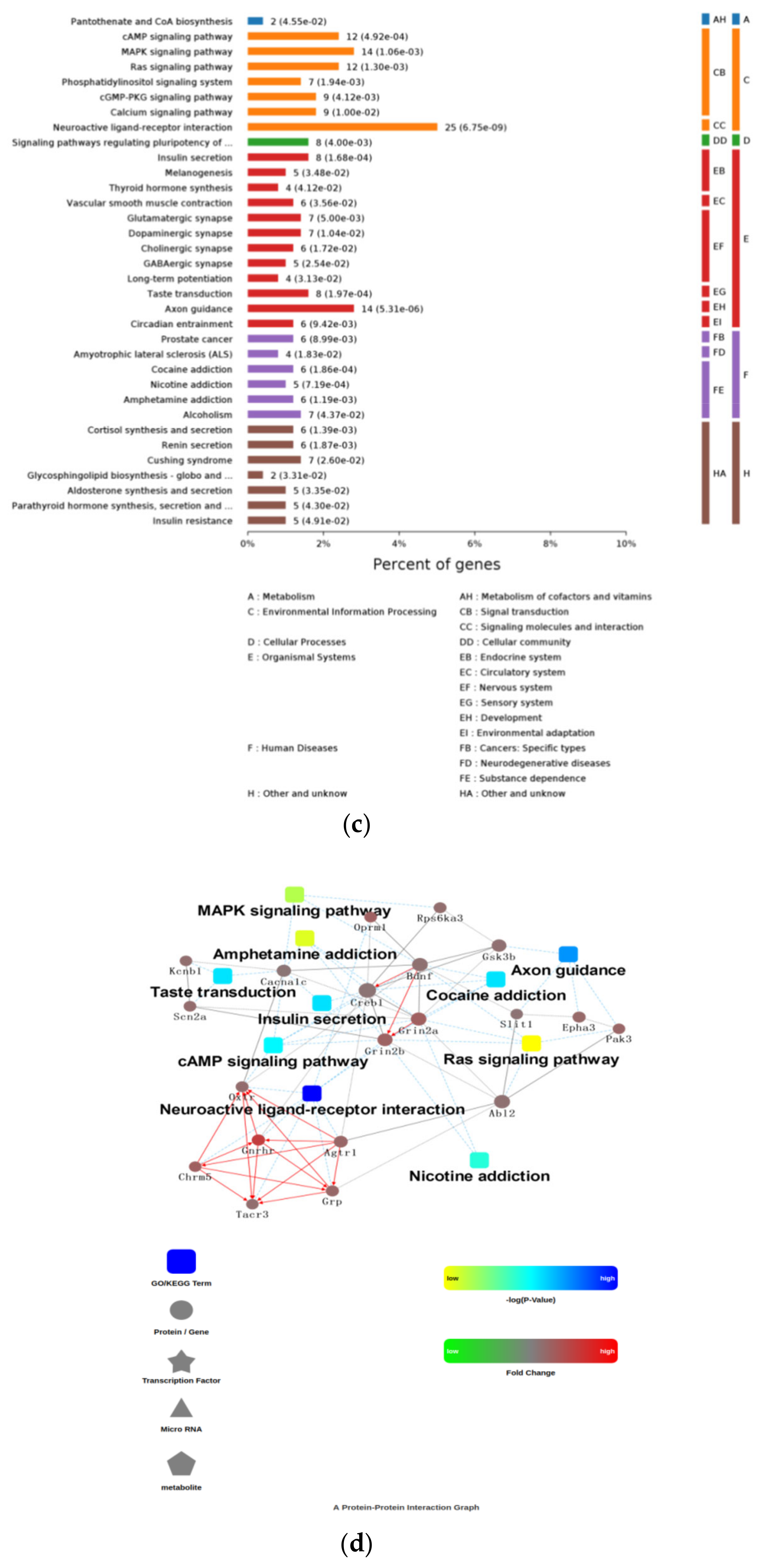 Animals 11 01875 g008b