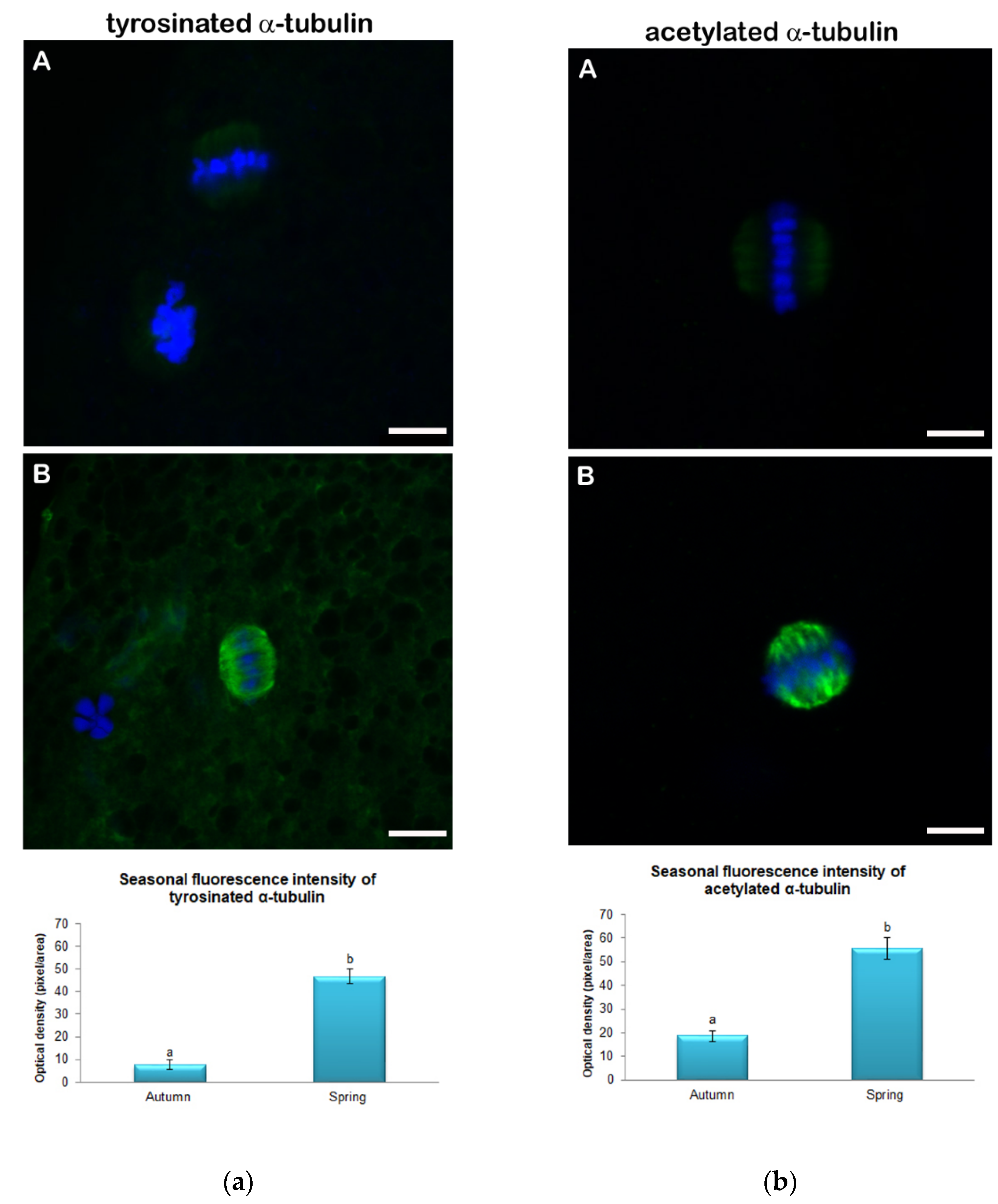Animals 11 01886 g002 Animals 11 01886 g002