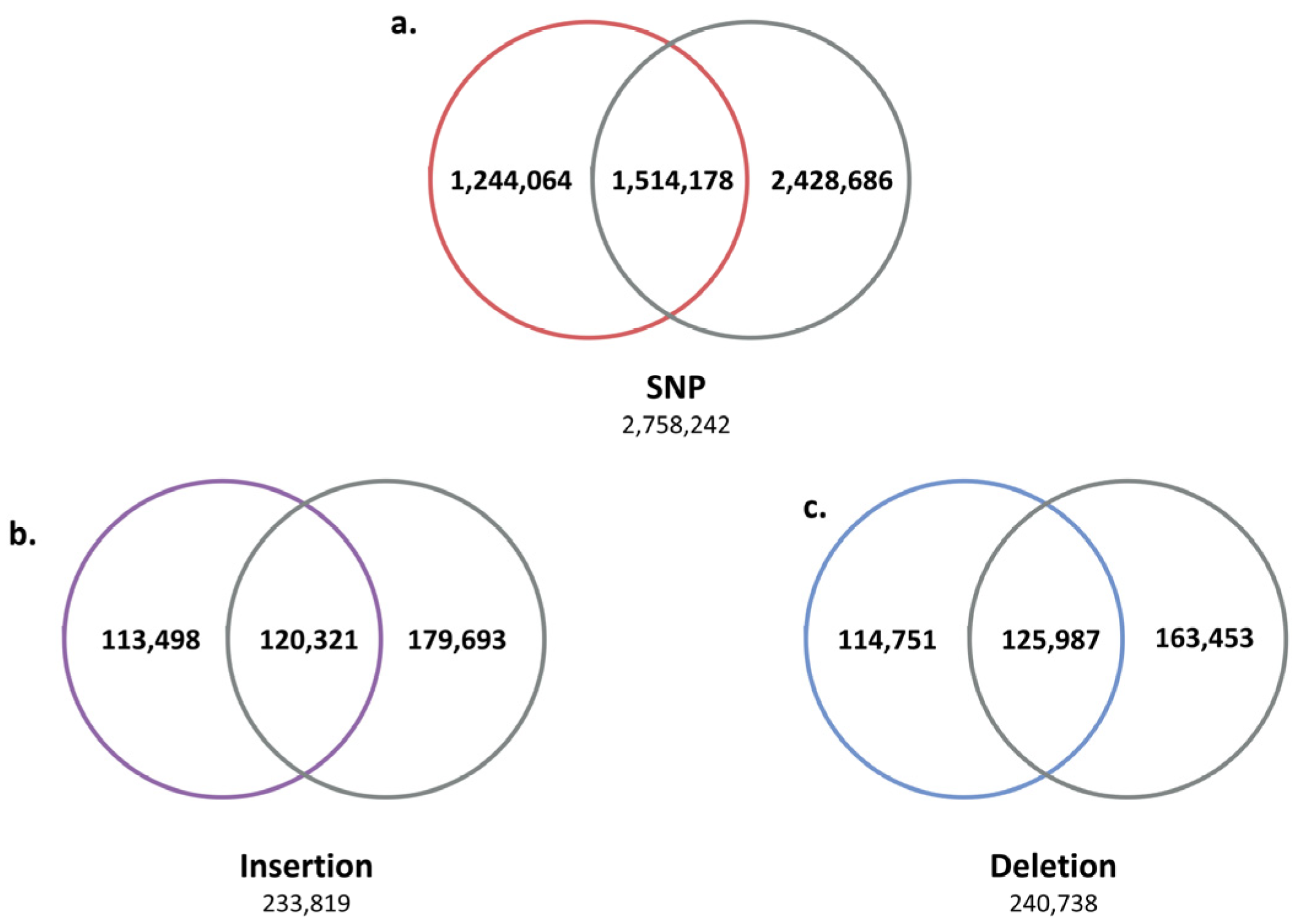 Animals 11 01924 g003
