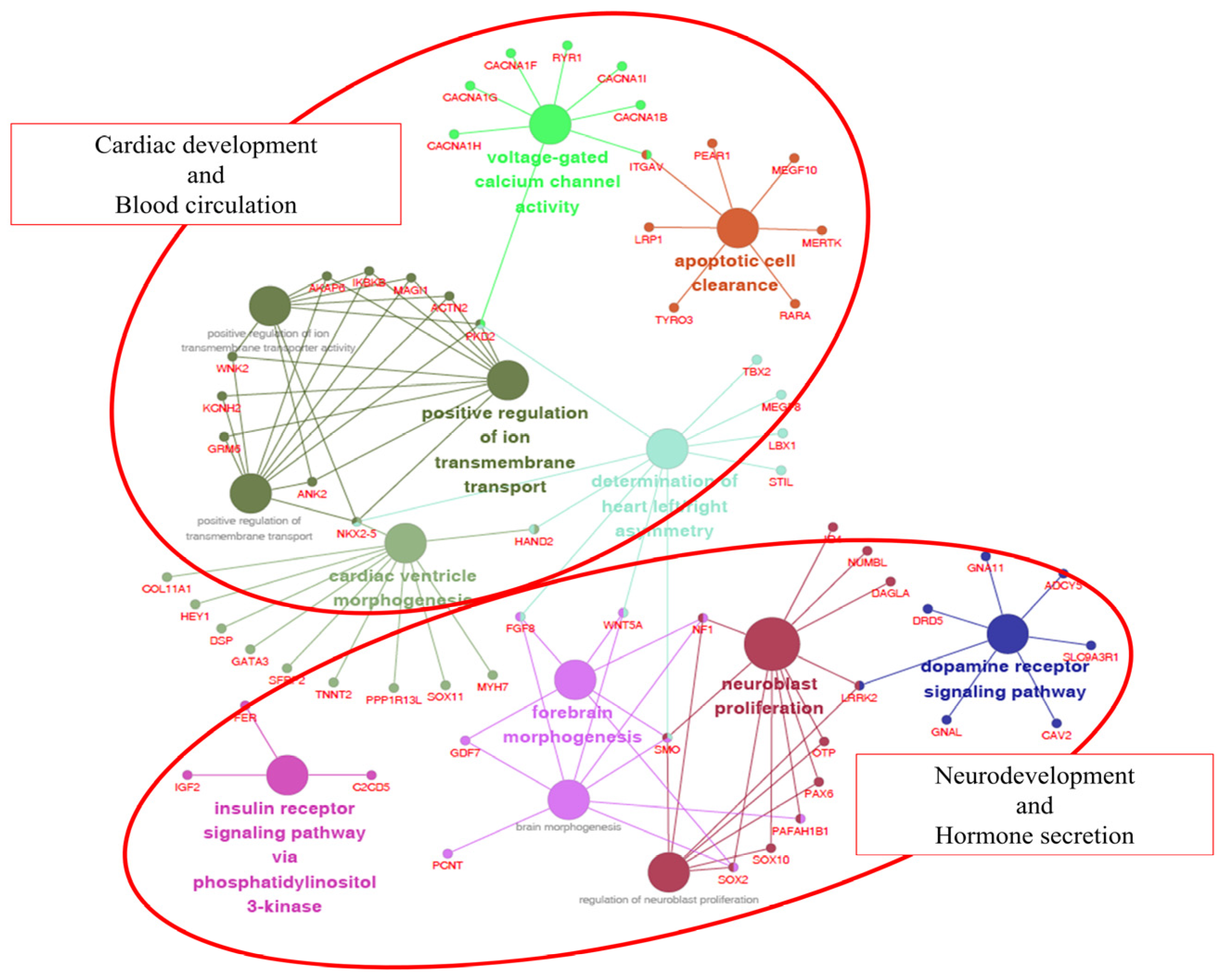 Animals 11 01924 g005