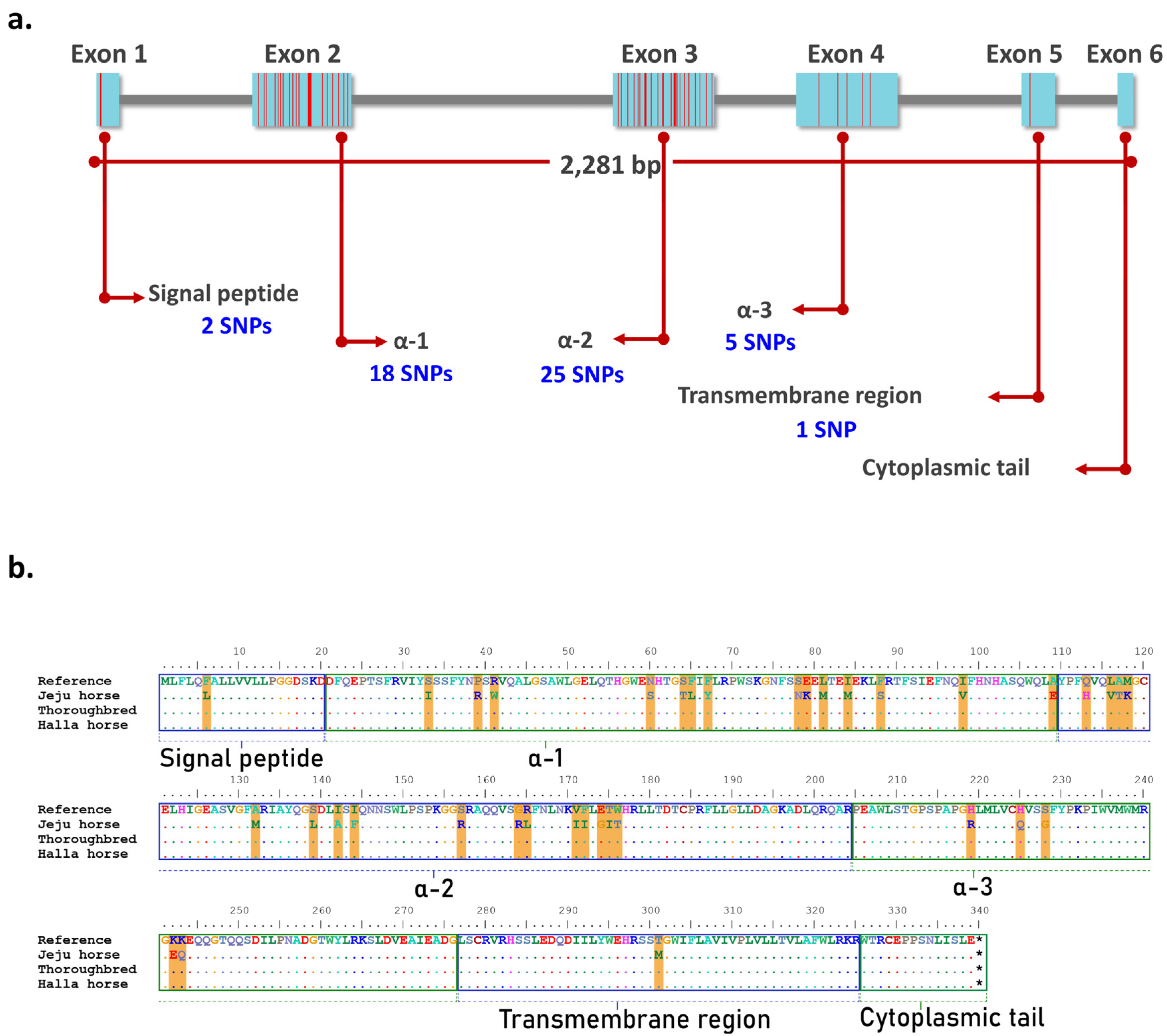 Animals 11 01924 g006