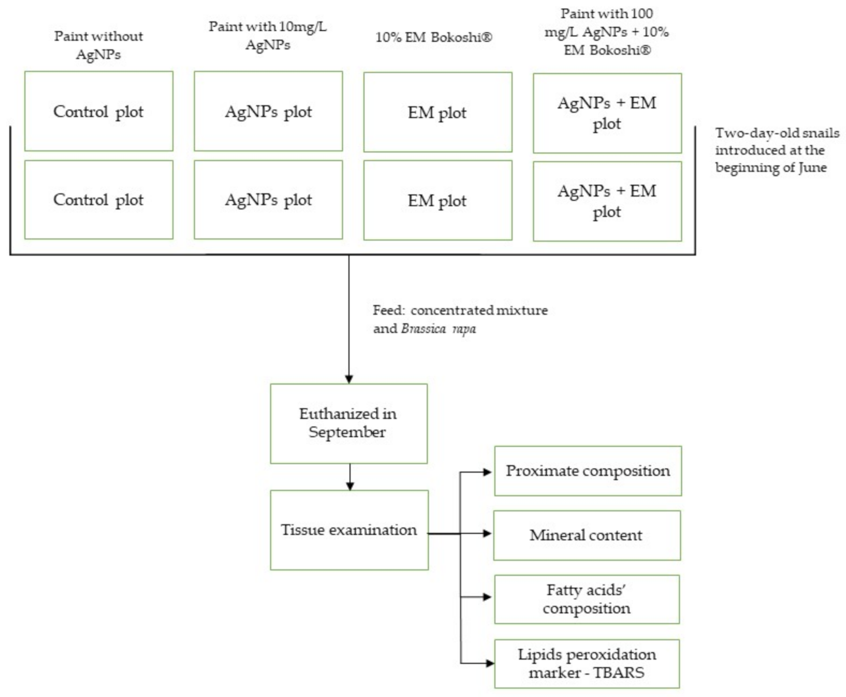 Animals 11 01926 g002