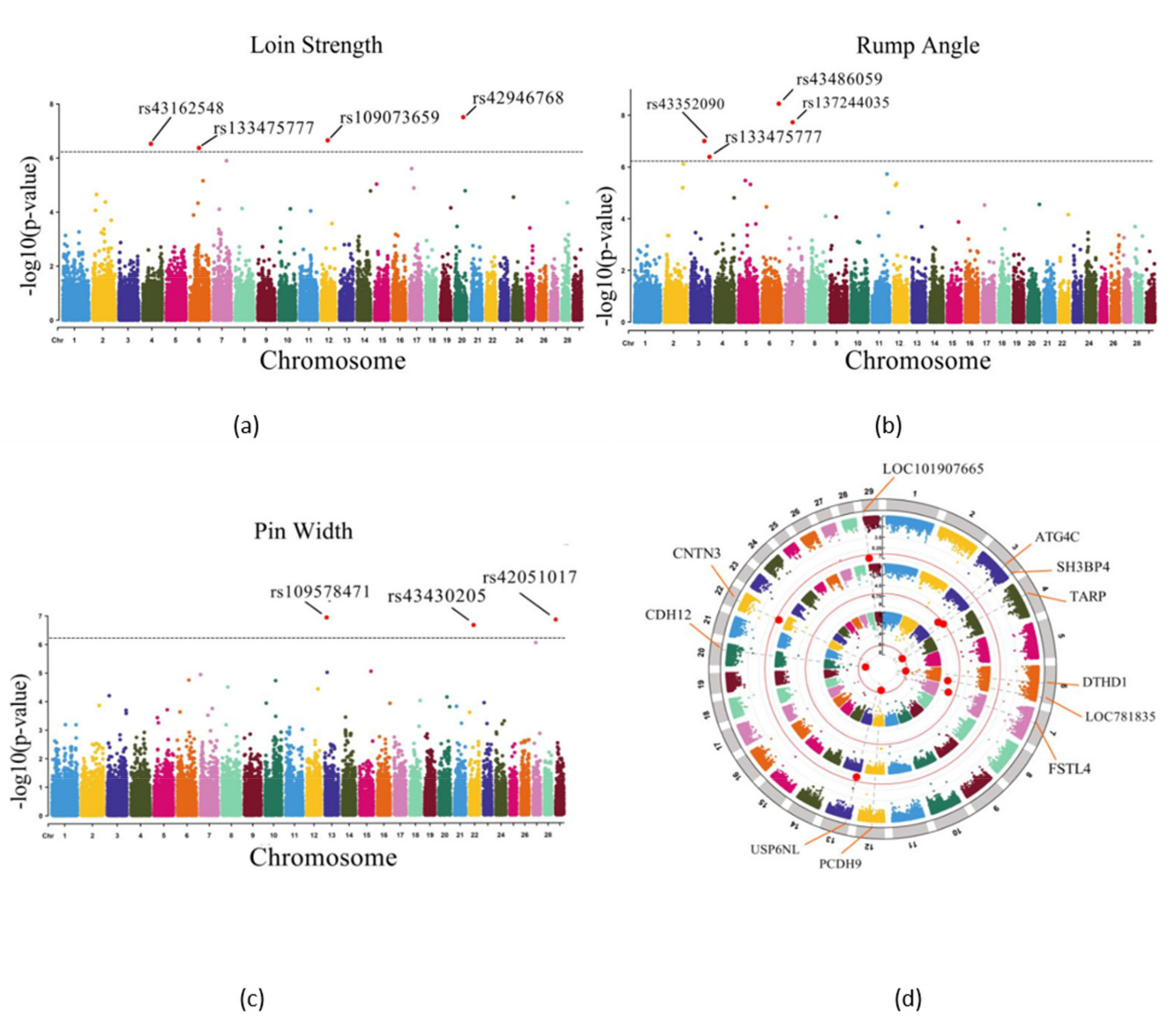 Animals 11 01927 g006 Animals 11 01927 g006