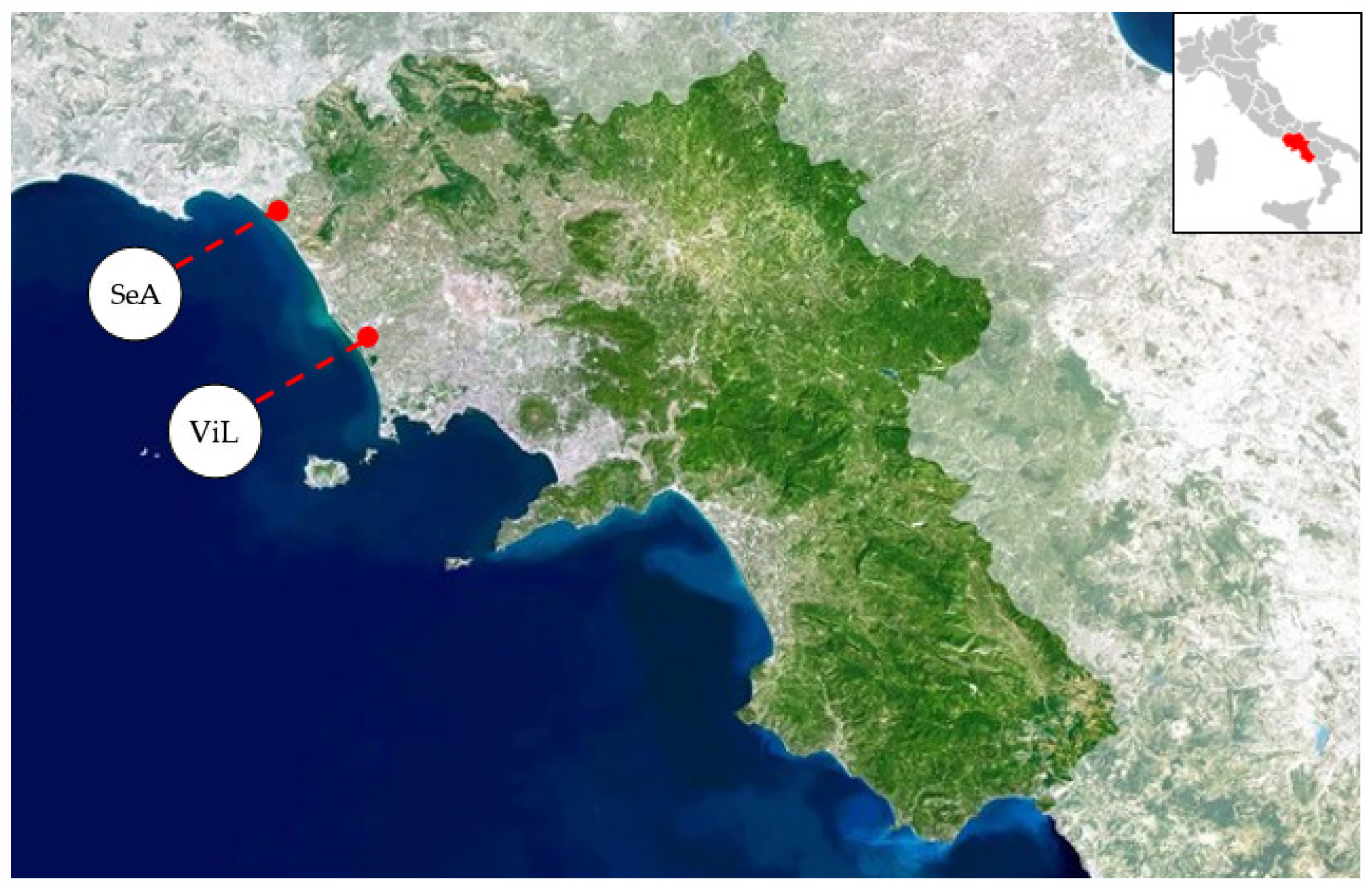 Animals 11 01933 g001