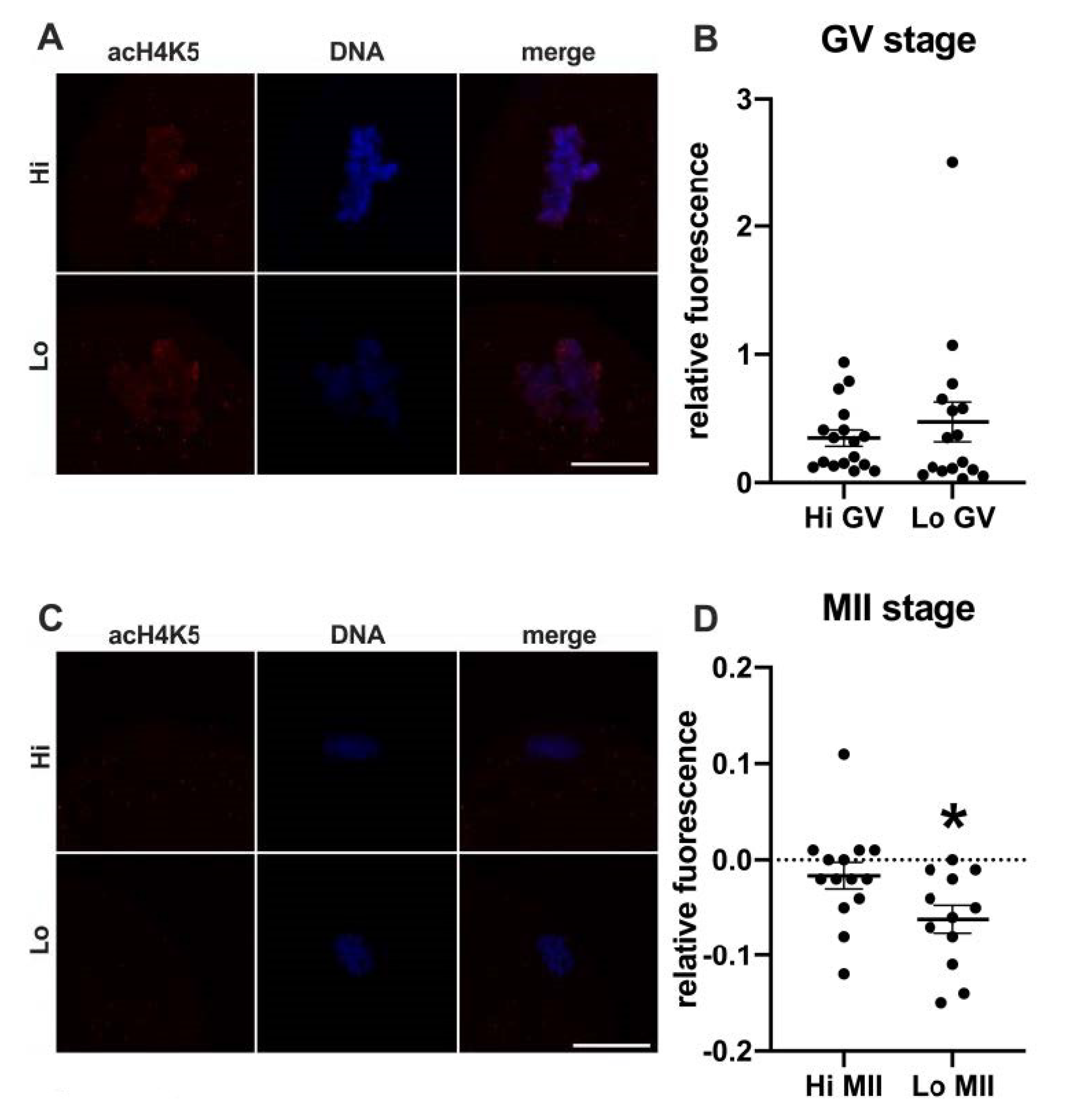 Animals 11 01936 g001