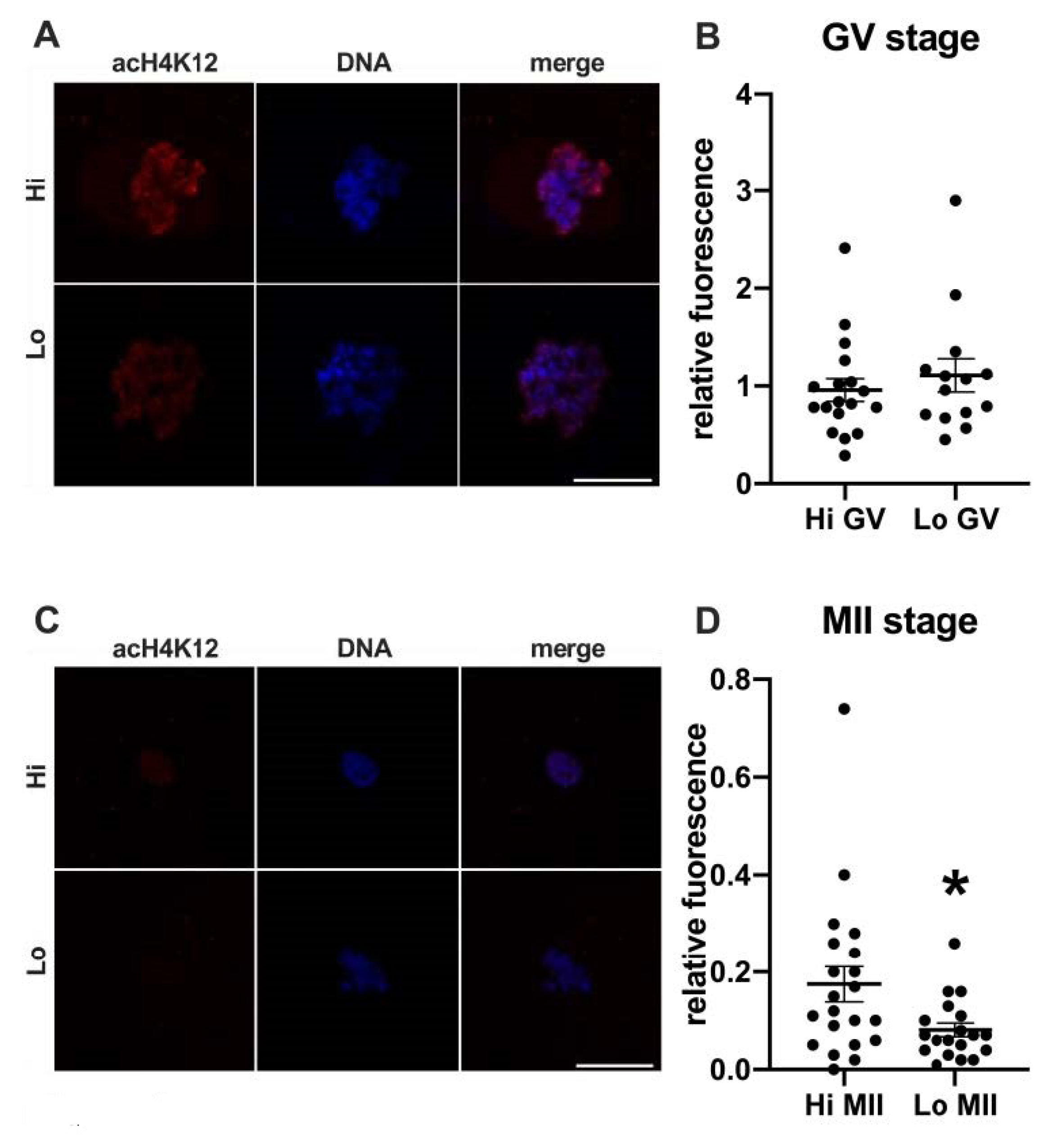 Animals 11 01936 g002