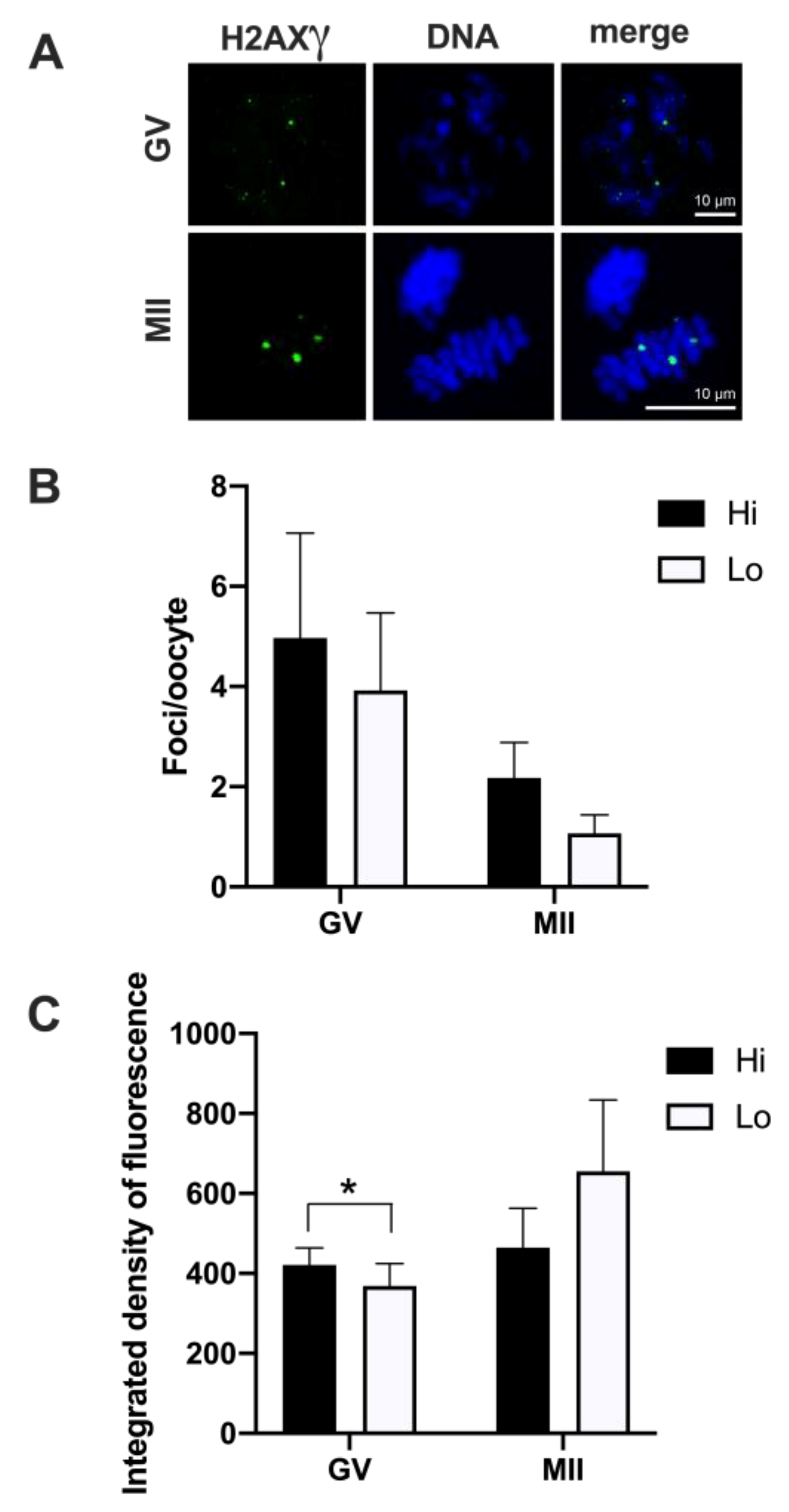 Animals 11 01936 g003