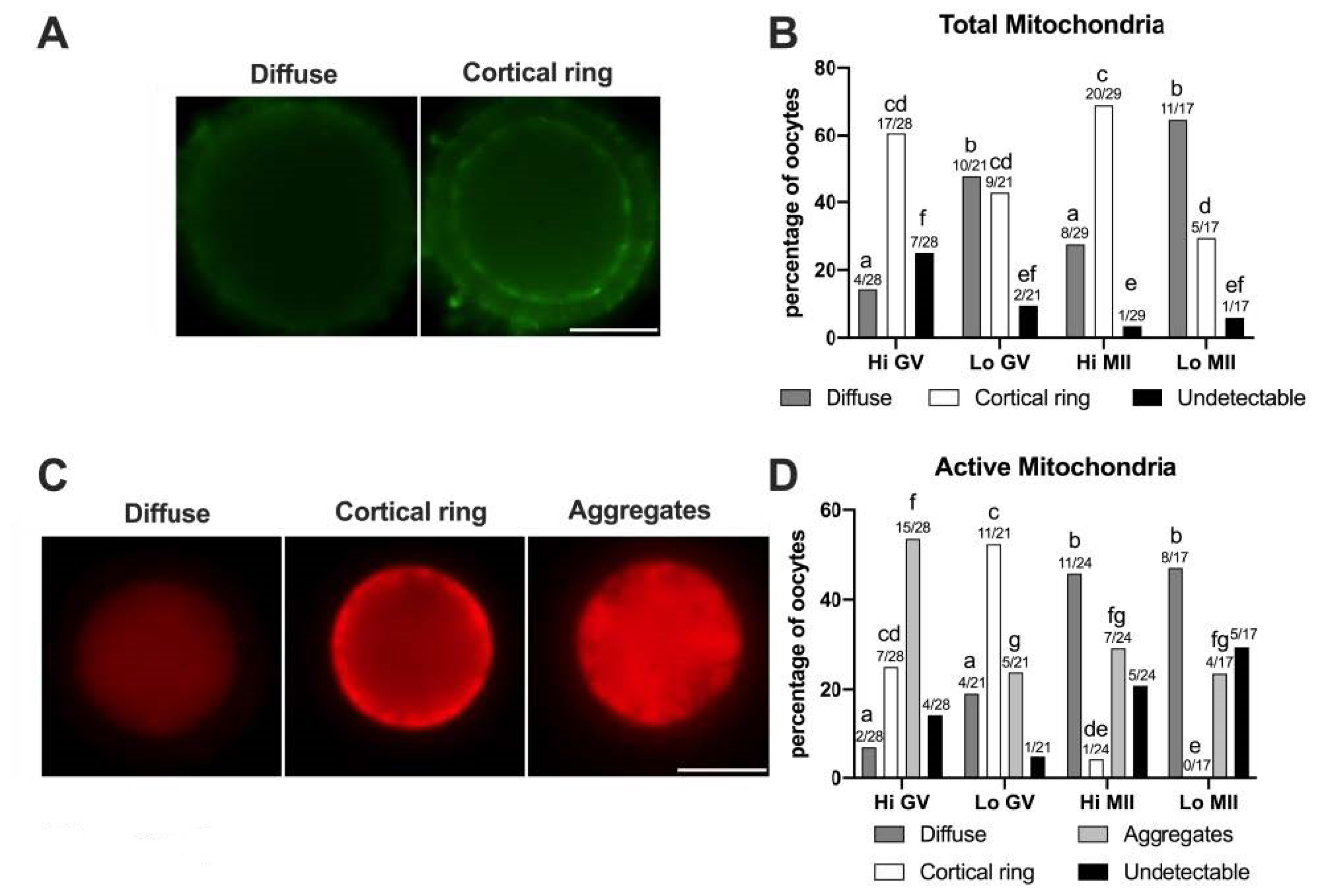 Animals 11 01936 g005