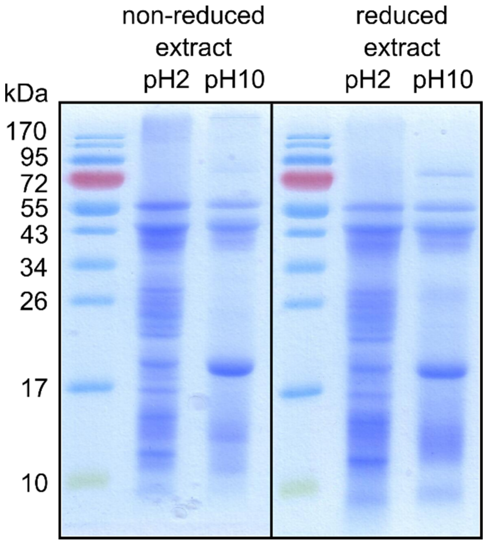 Animals 11 01942 g001