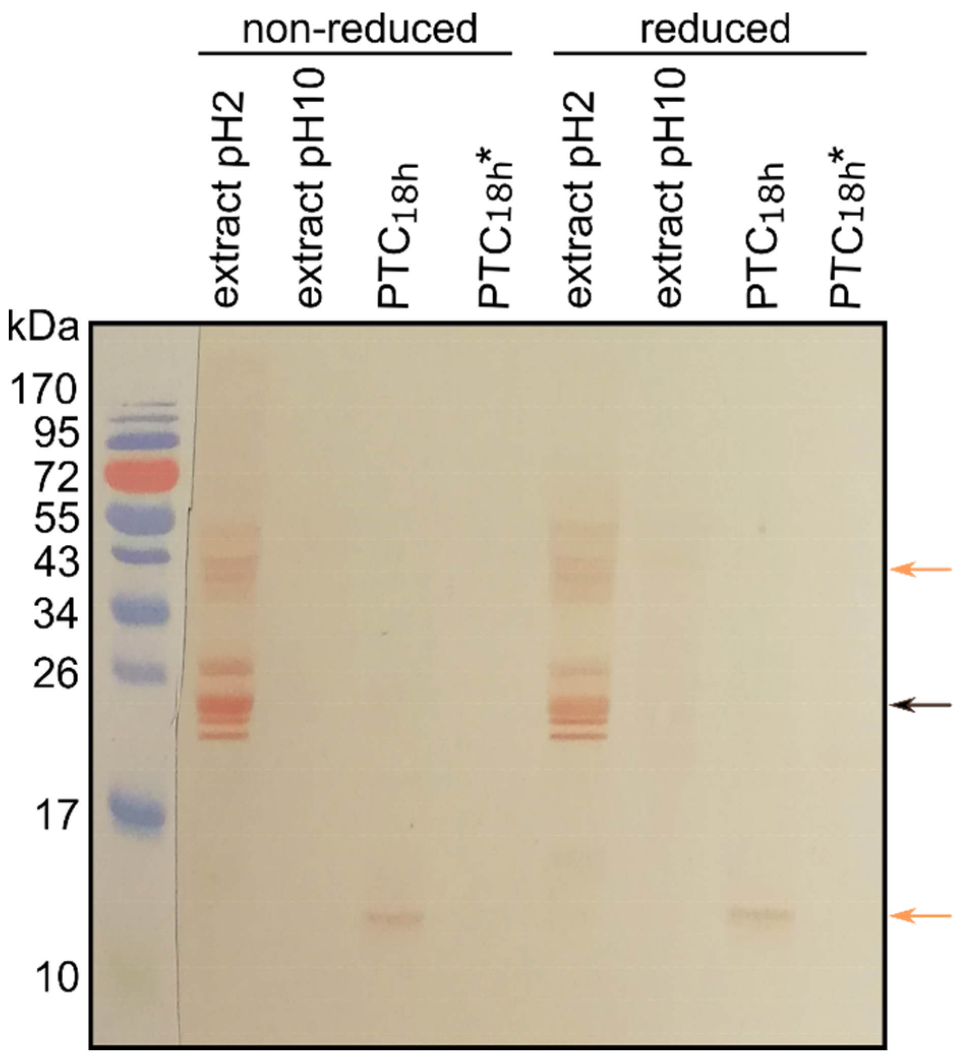 Animals 11 01942 g003