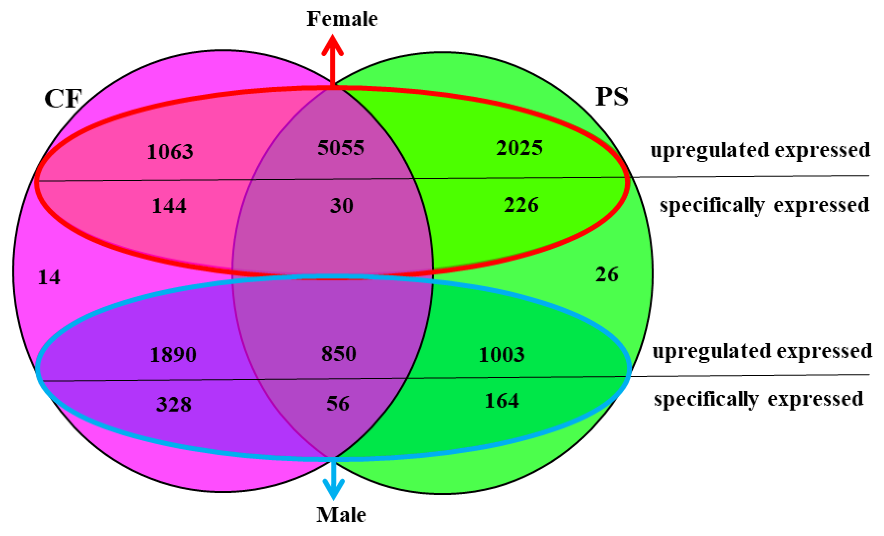 Animals 11 01946 g005 Animals 11 01946 g005