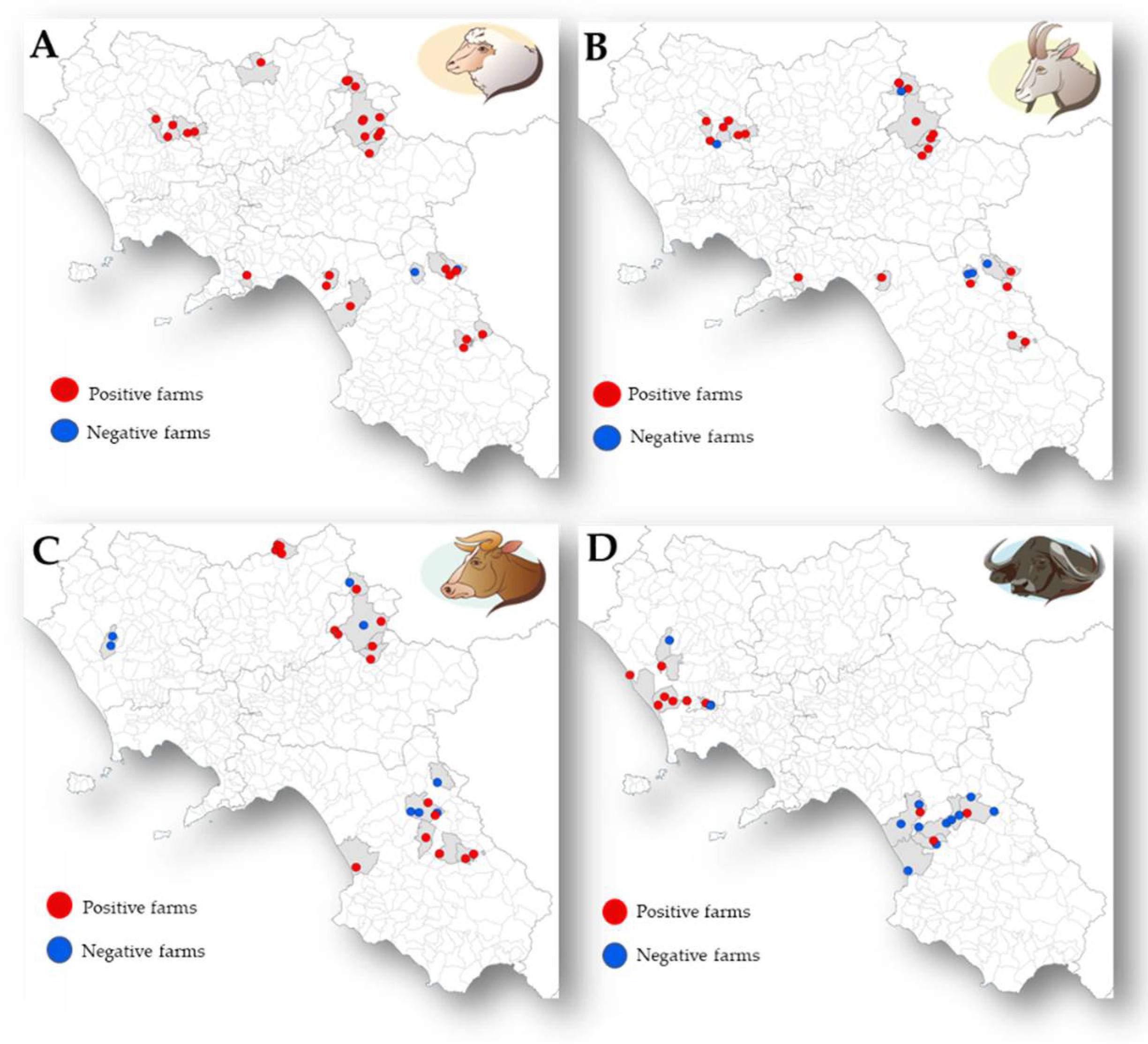 Animals 11 01949 g002