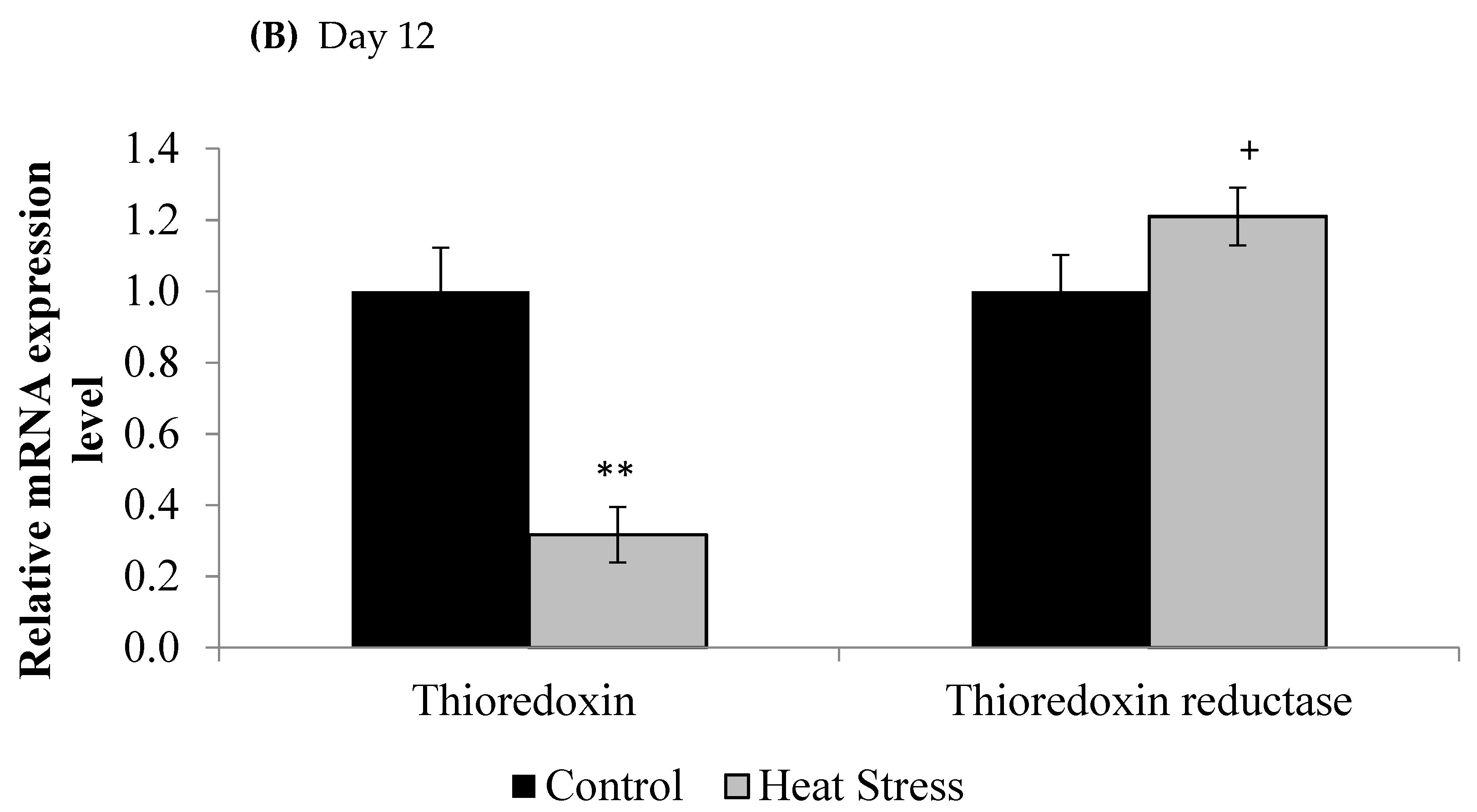 Animals 11 01957 g001b
