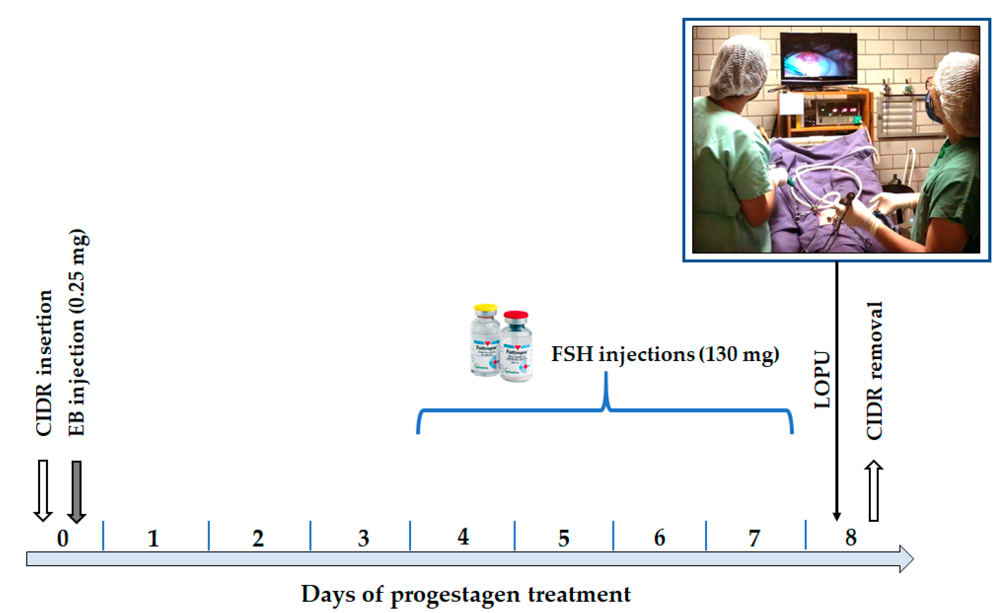 Animals 11 01961 g005 Animals 11 01961 g005