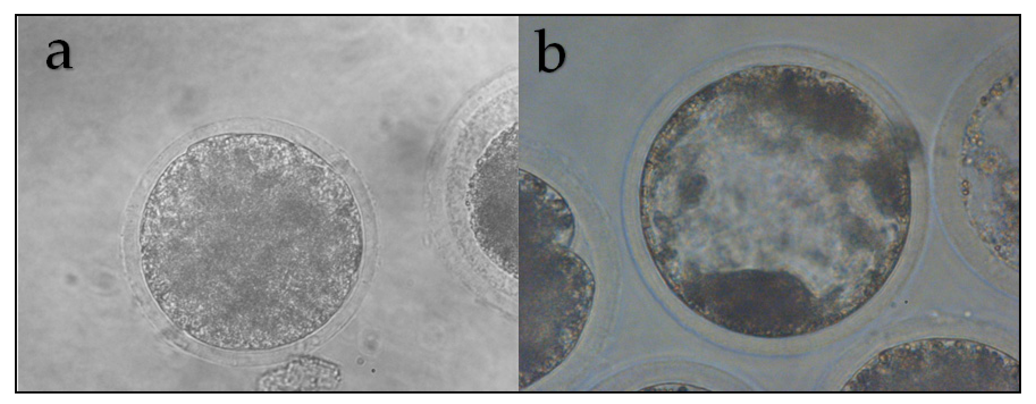 Animals 11 01961 g006 Animals 11 01961 g006