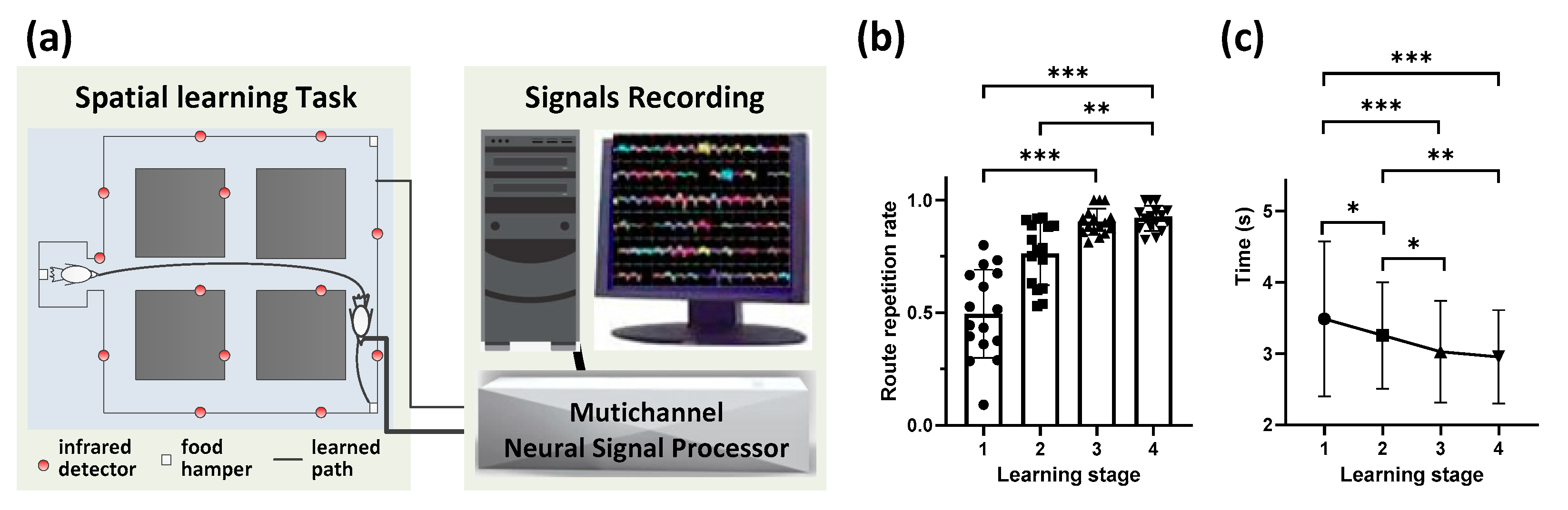 Animals 11 02003 g001
