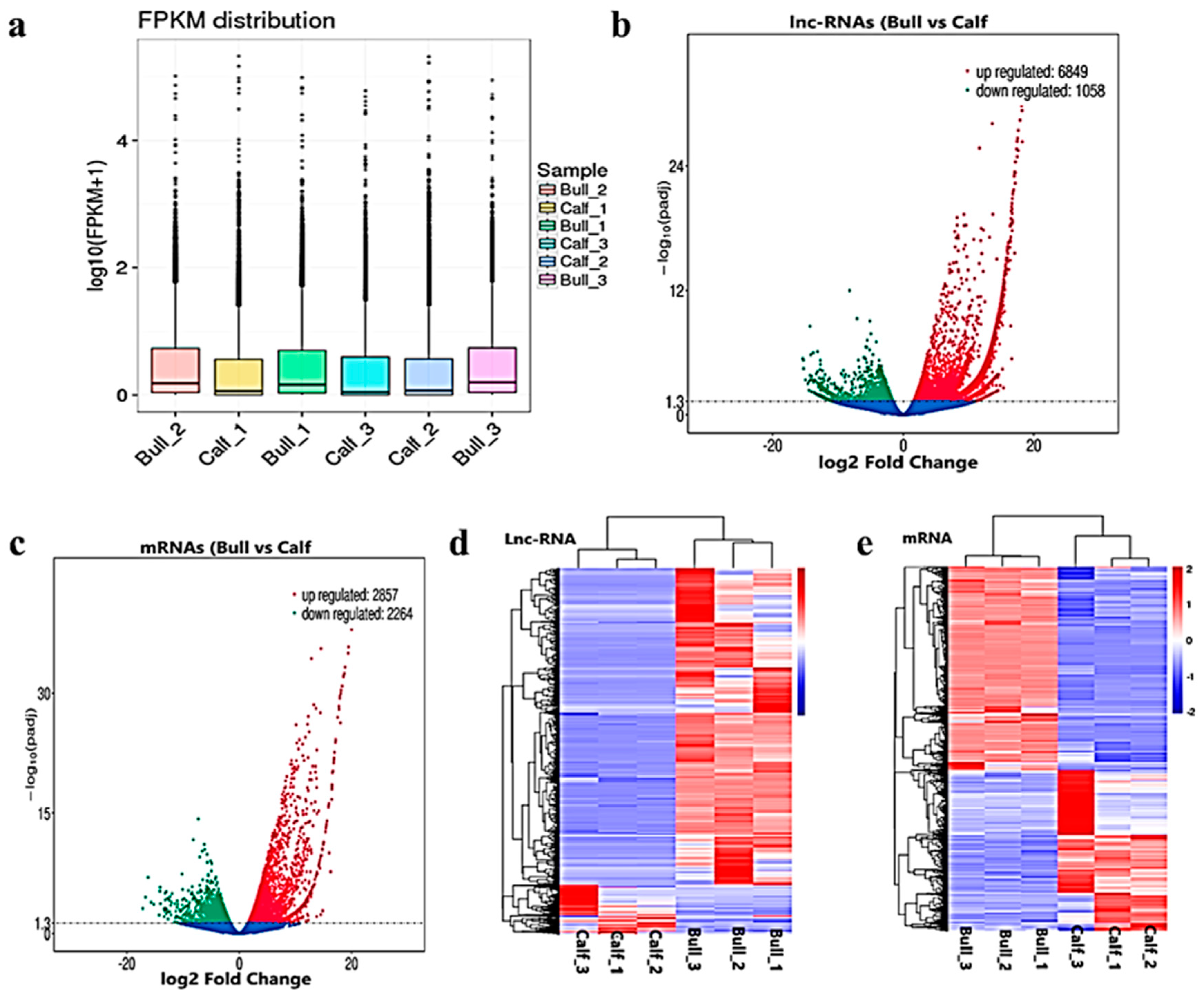 Animals 11 02006 g004