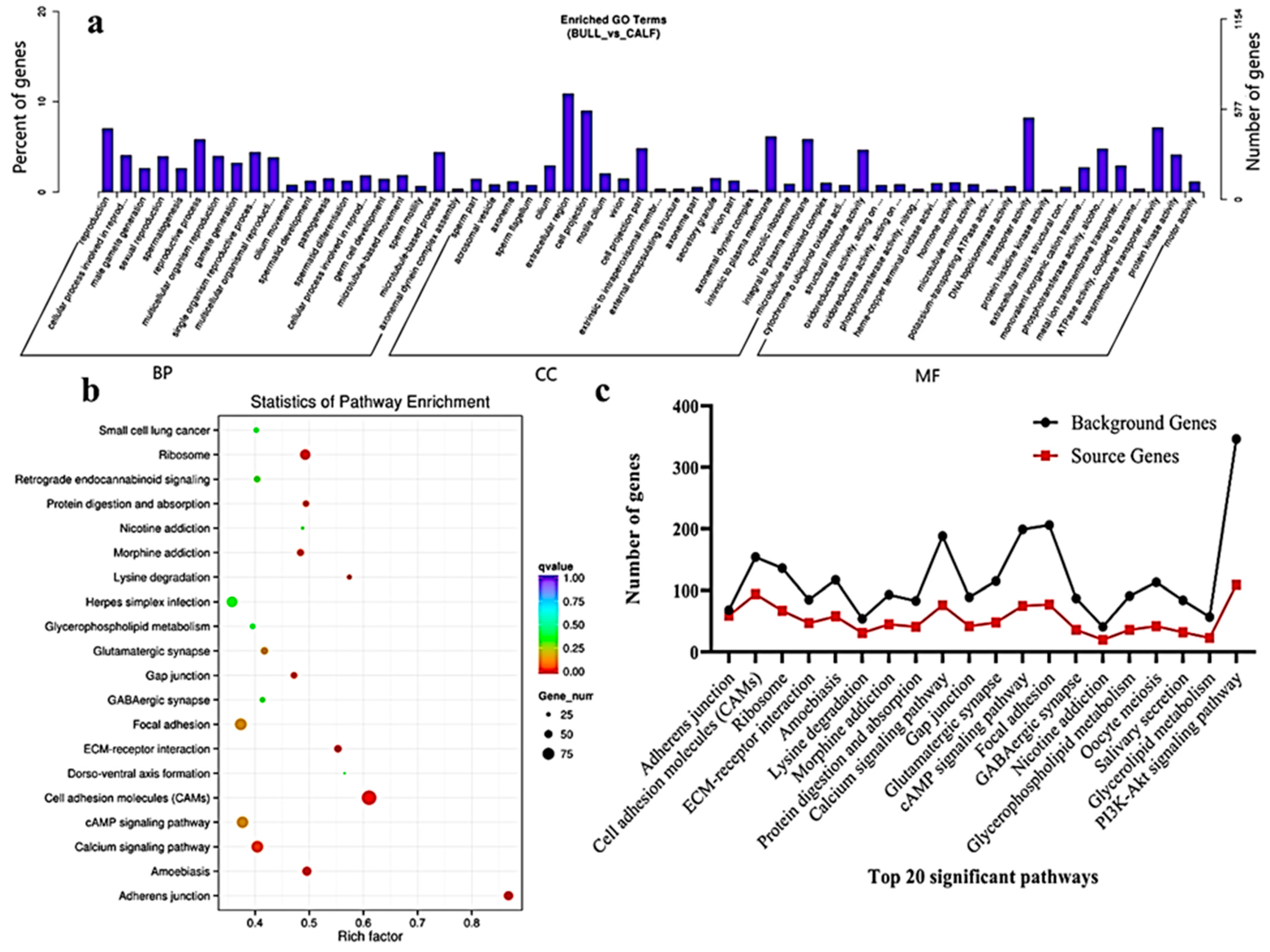Animals 11 02006 g005