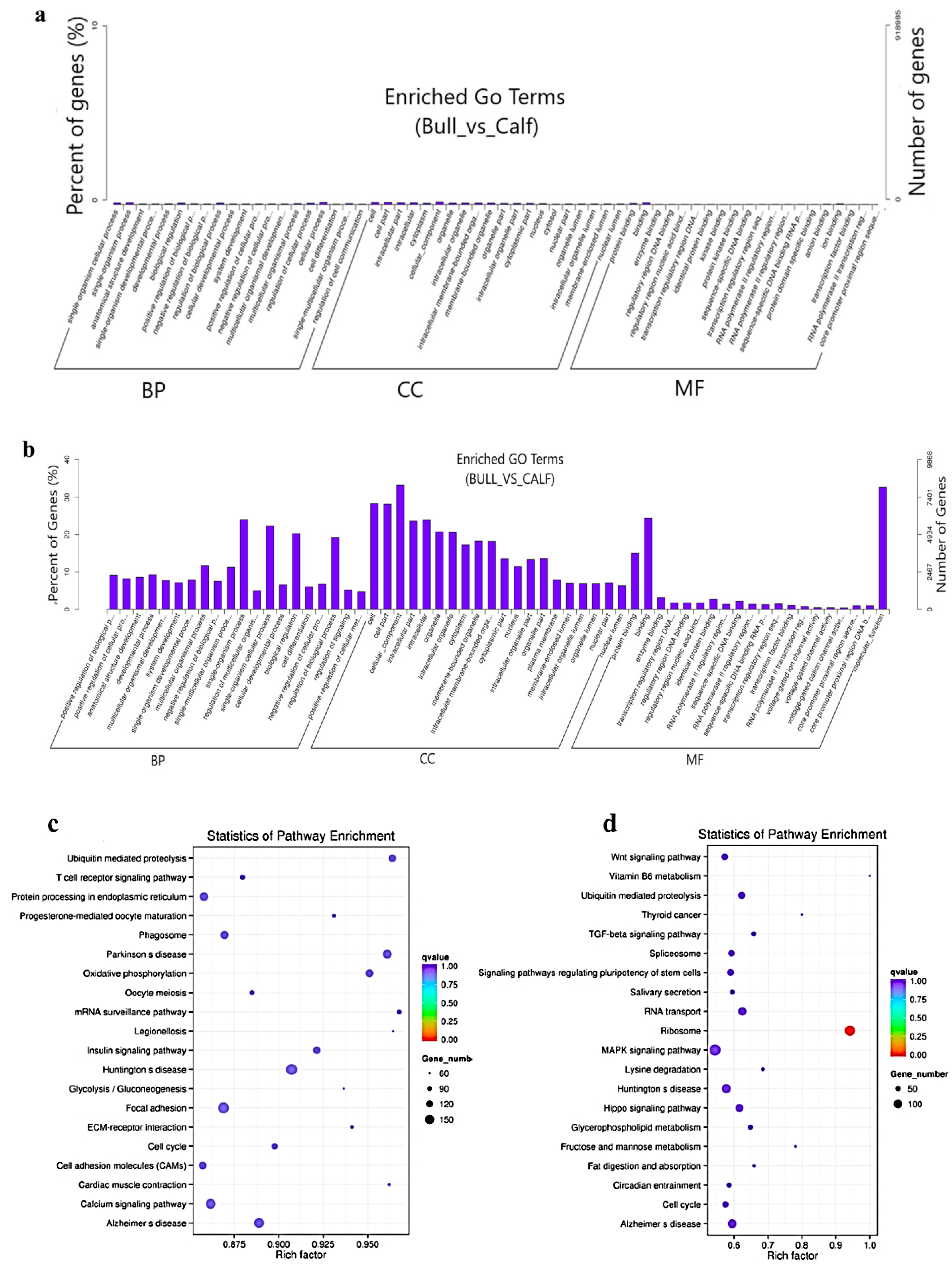 Animals 11 02006 g006