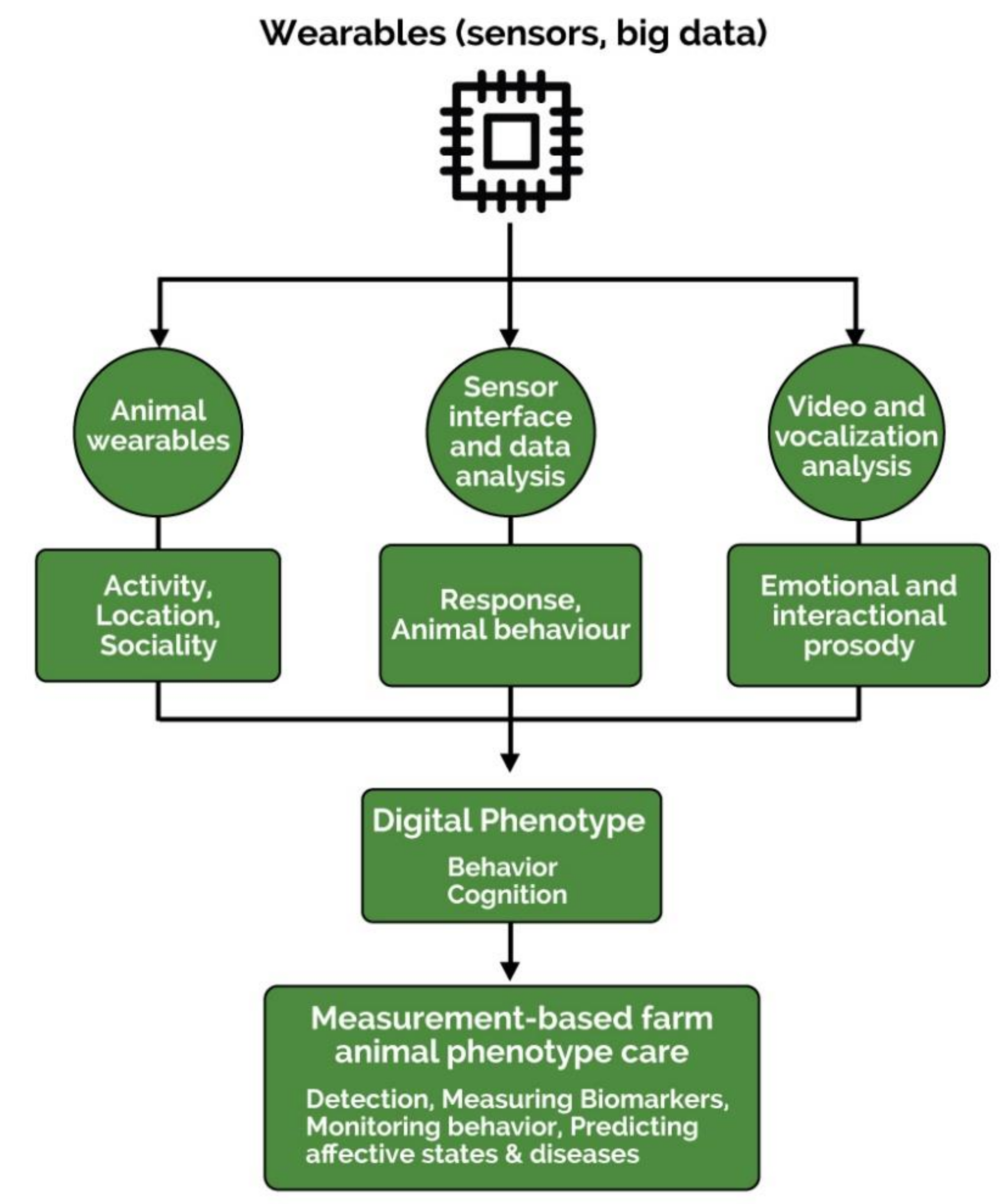 Animals 11 02009 g003
