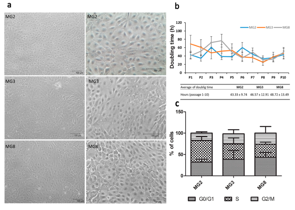 Animals 11 02012 g002