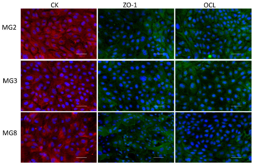 Animals 11 02012 g003