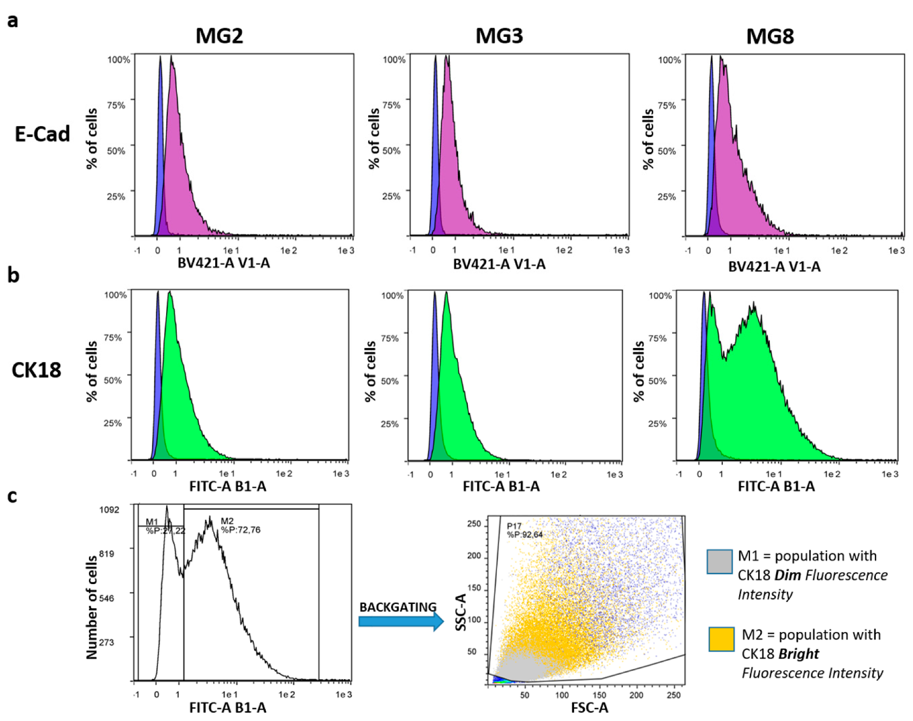 Animals 11 02012 g004