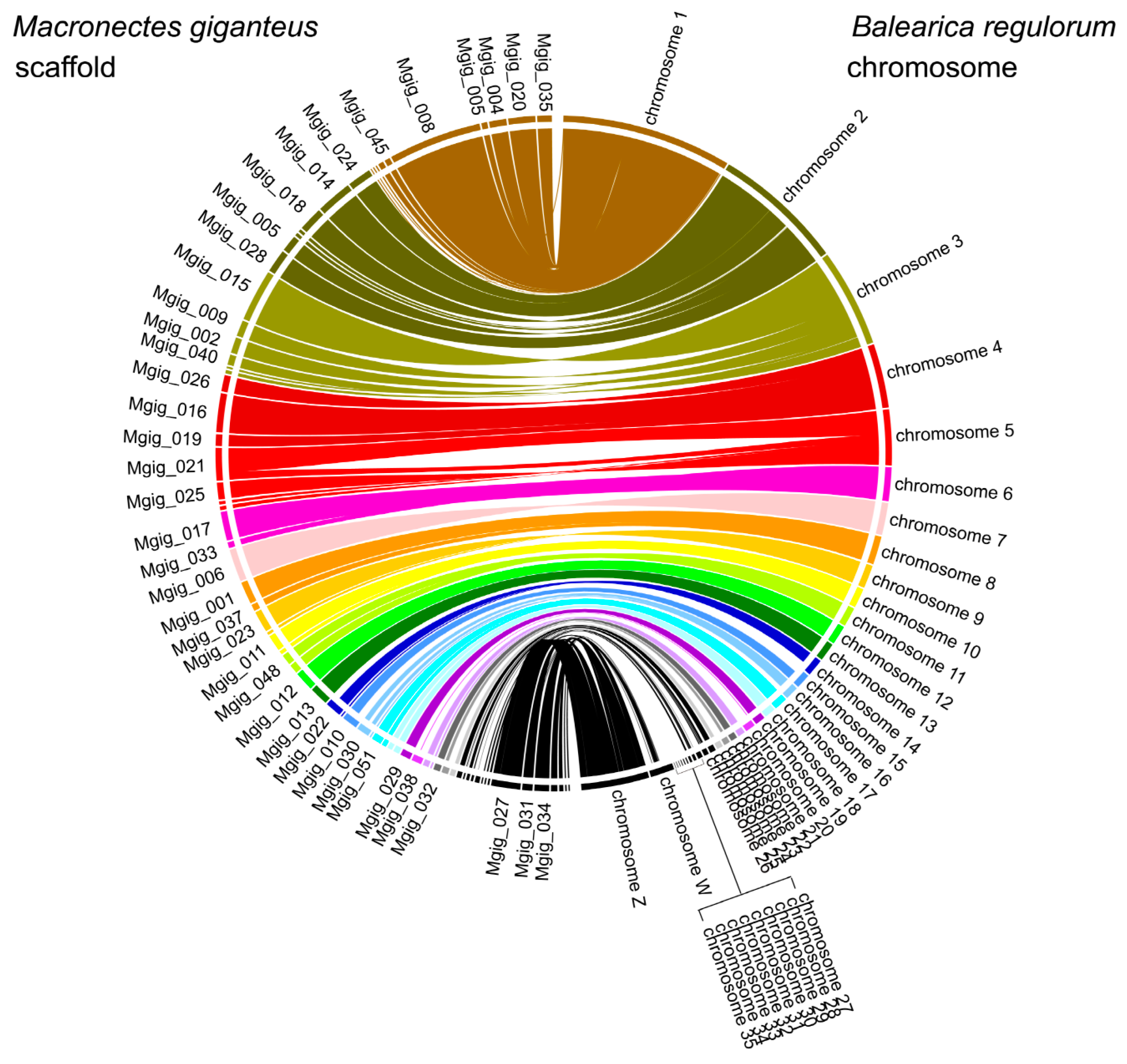 Animals 11 02046 g002
