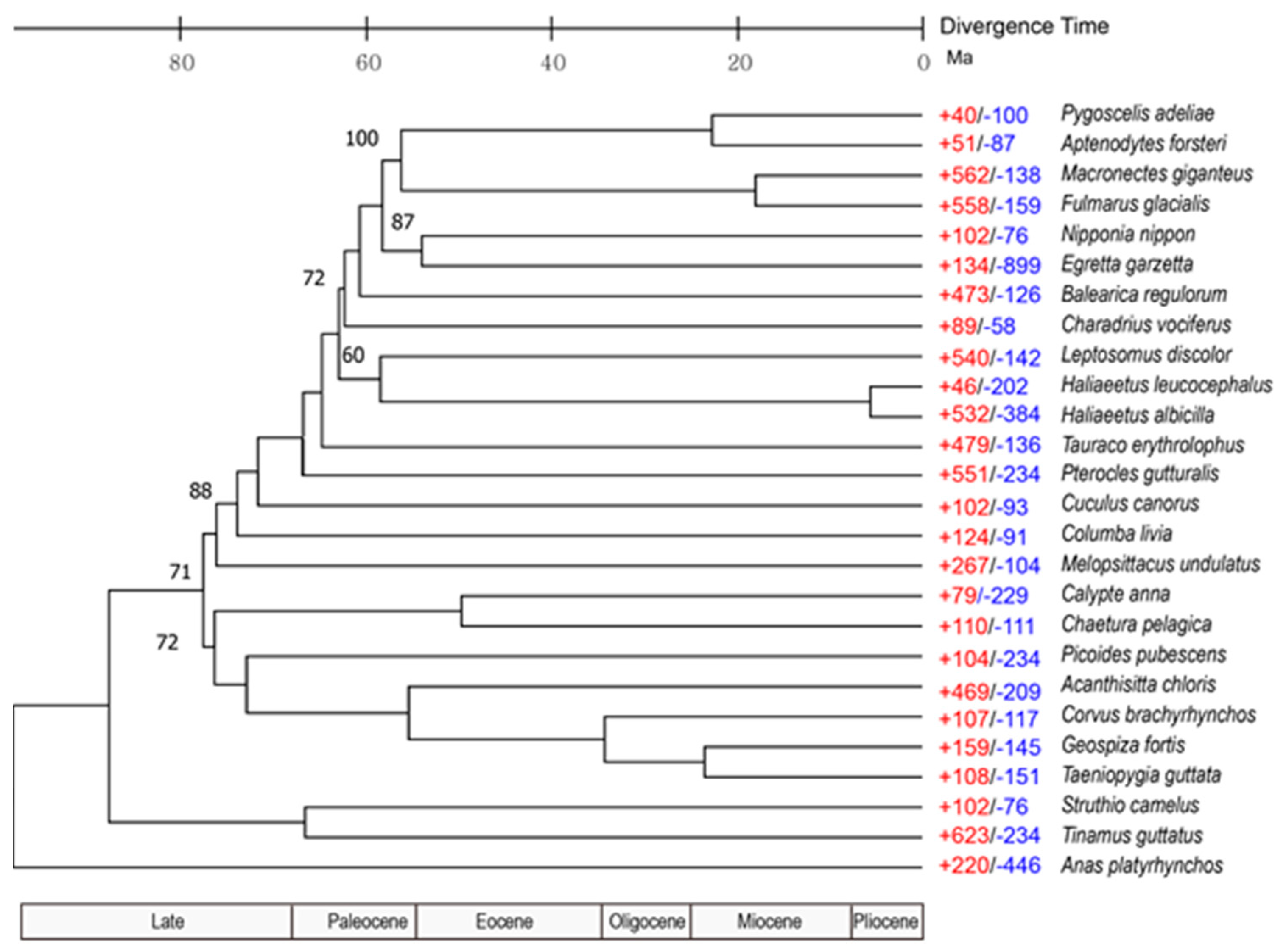 Animals 11 02046 g004