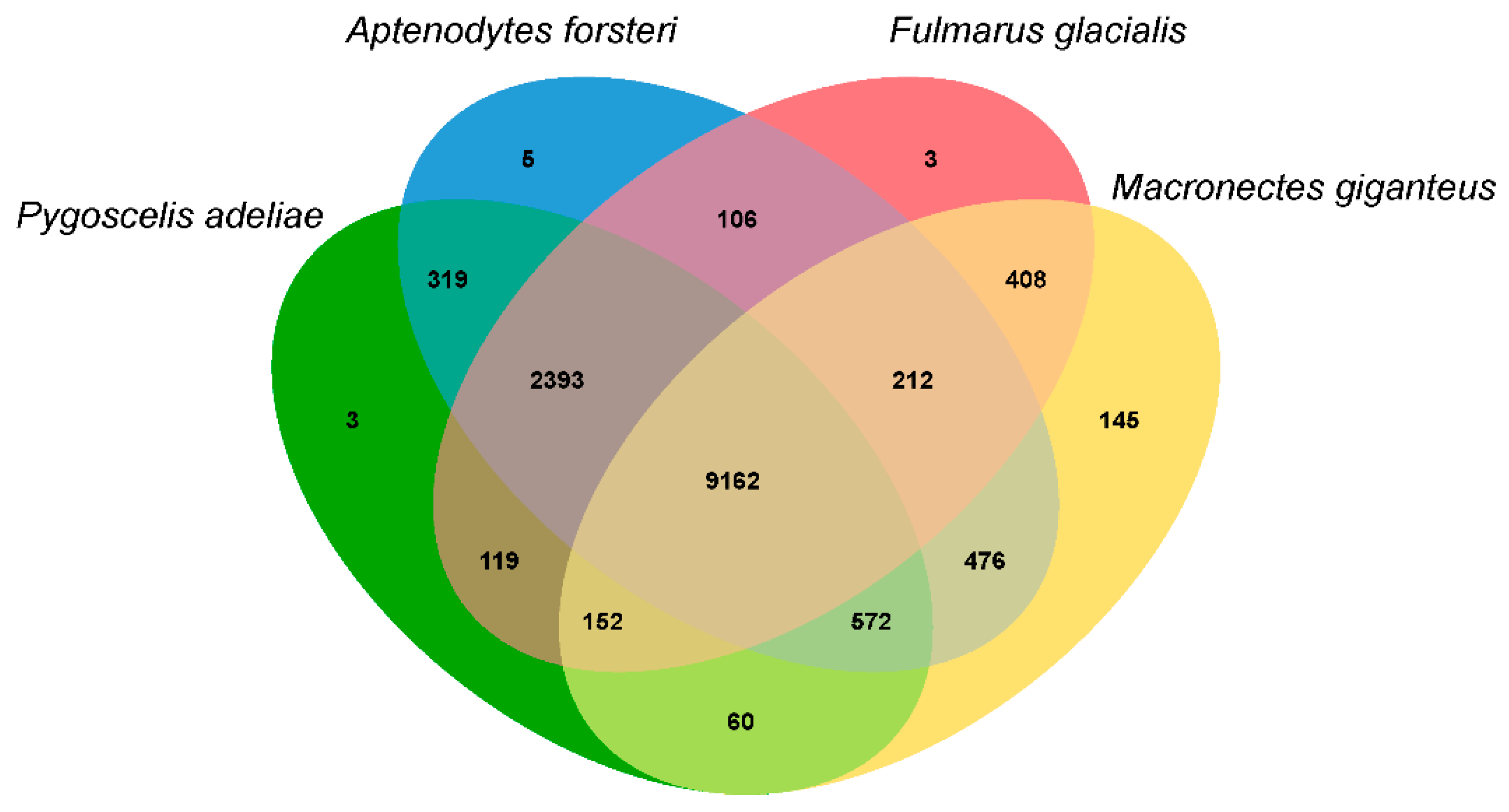 Animals 11 02046 g005