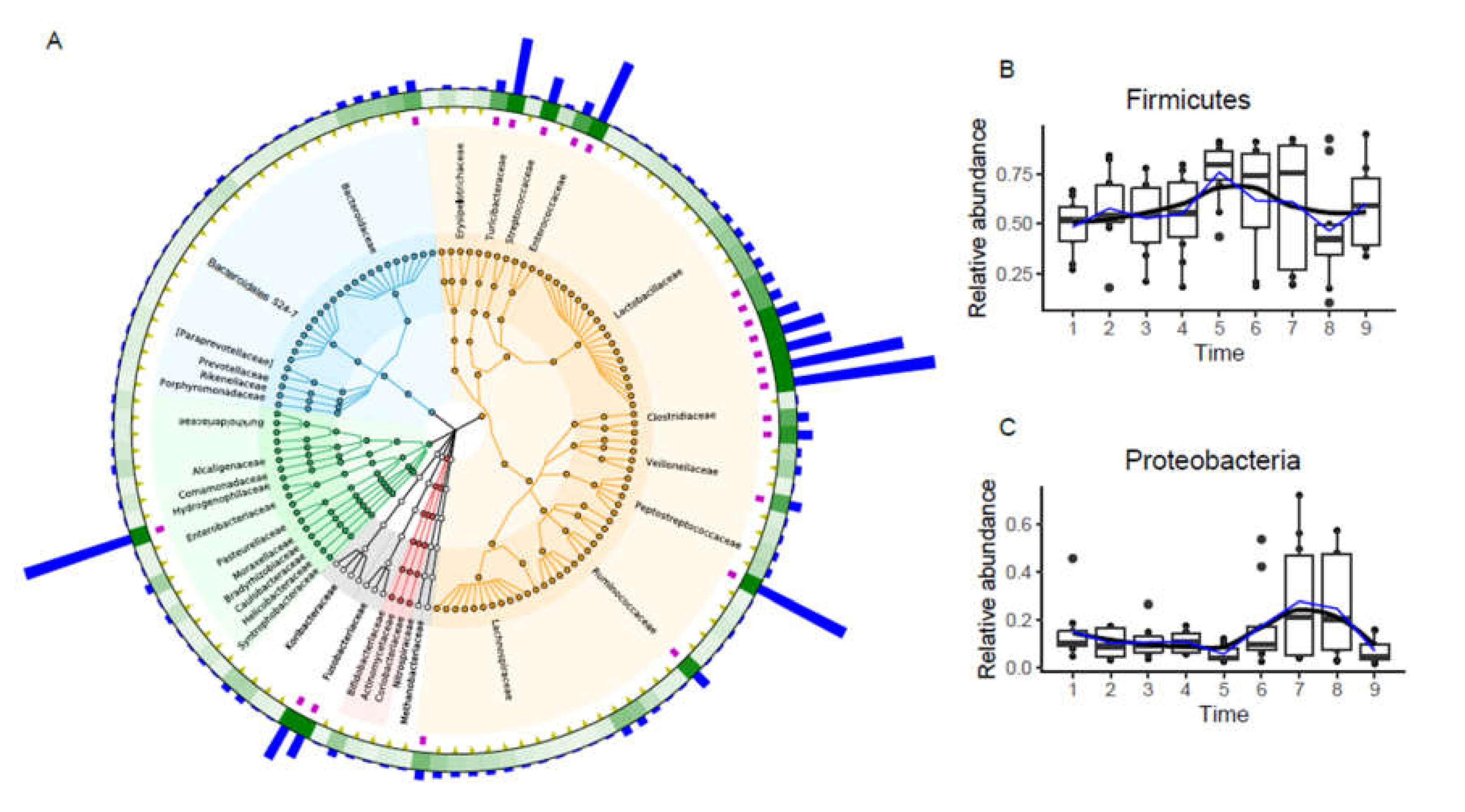 Animals 11 02065 g002