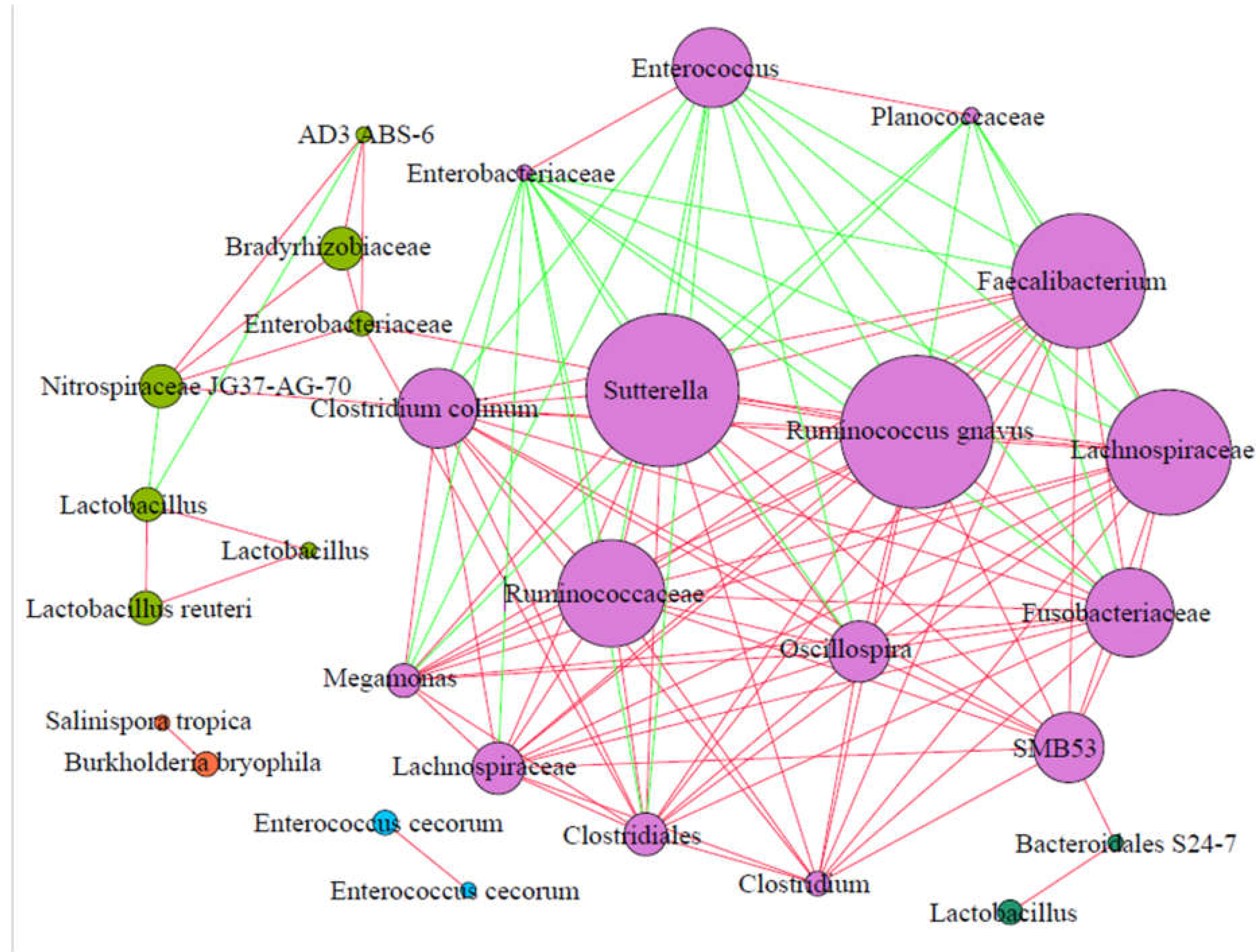 Animals 11 02065 g007