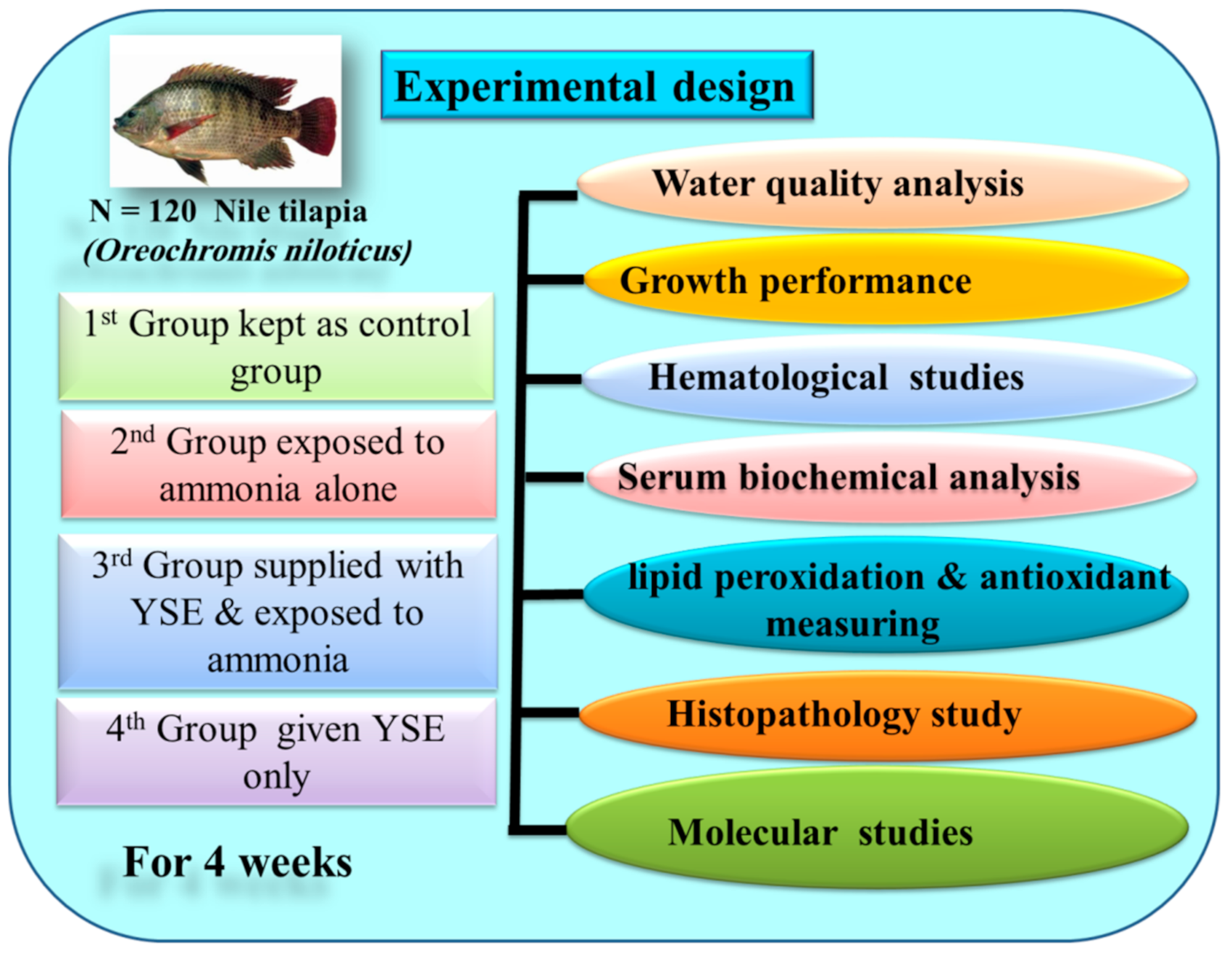 Animals 11 02072 g001