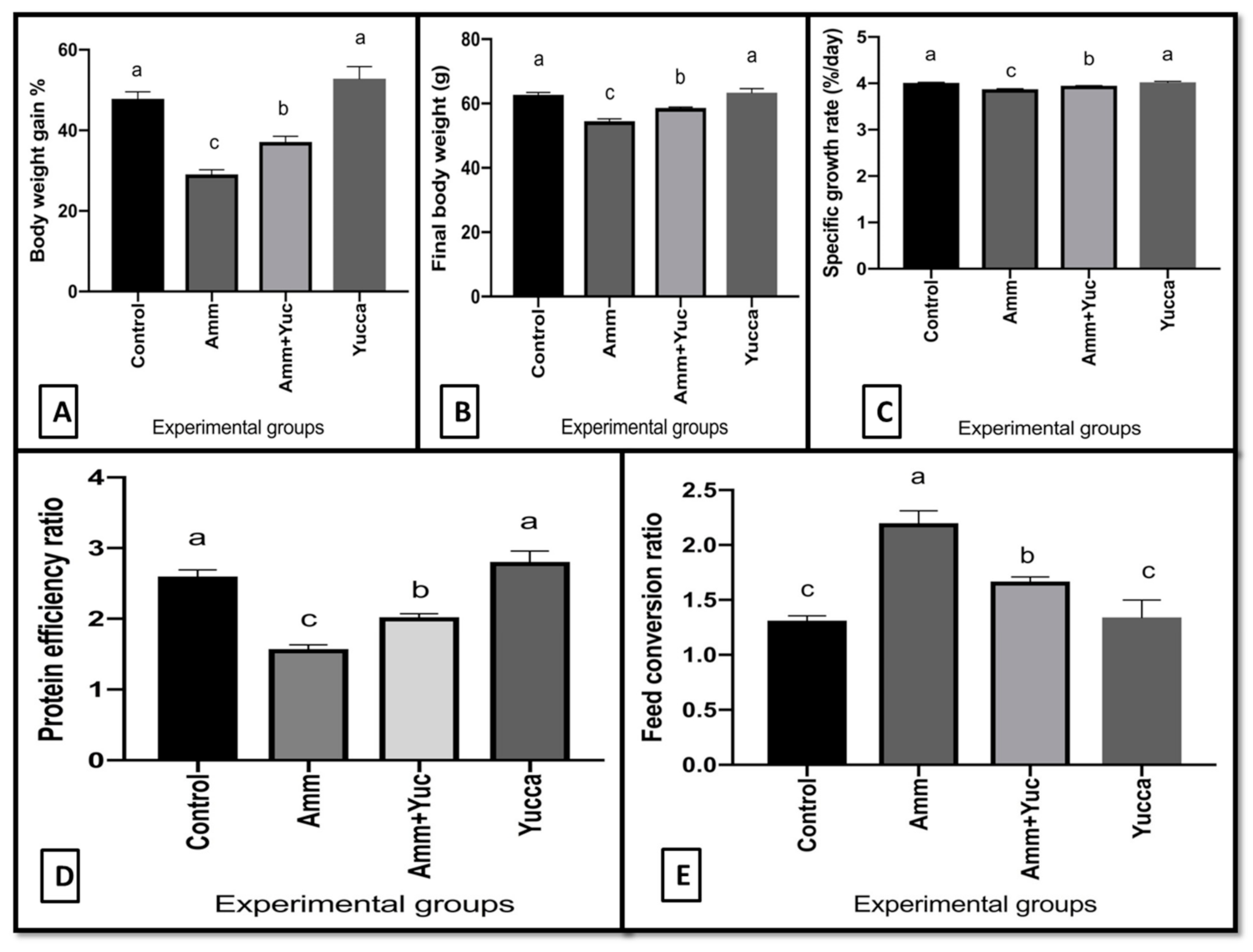 Animals 11 02072 g002