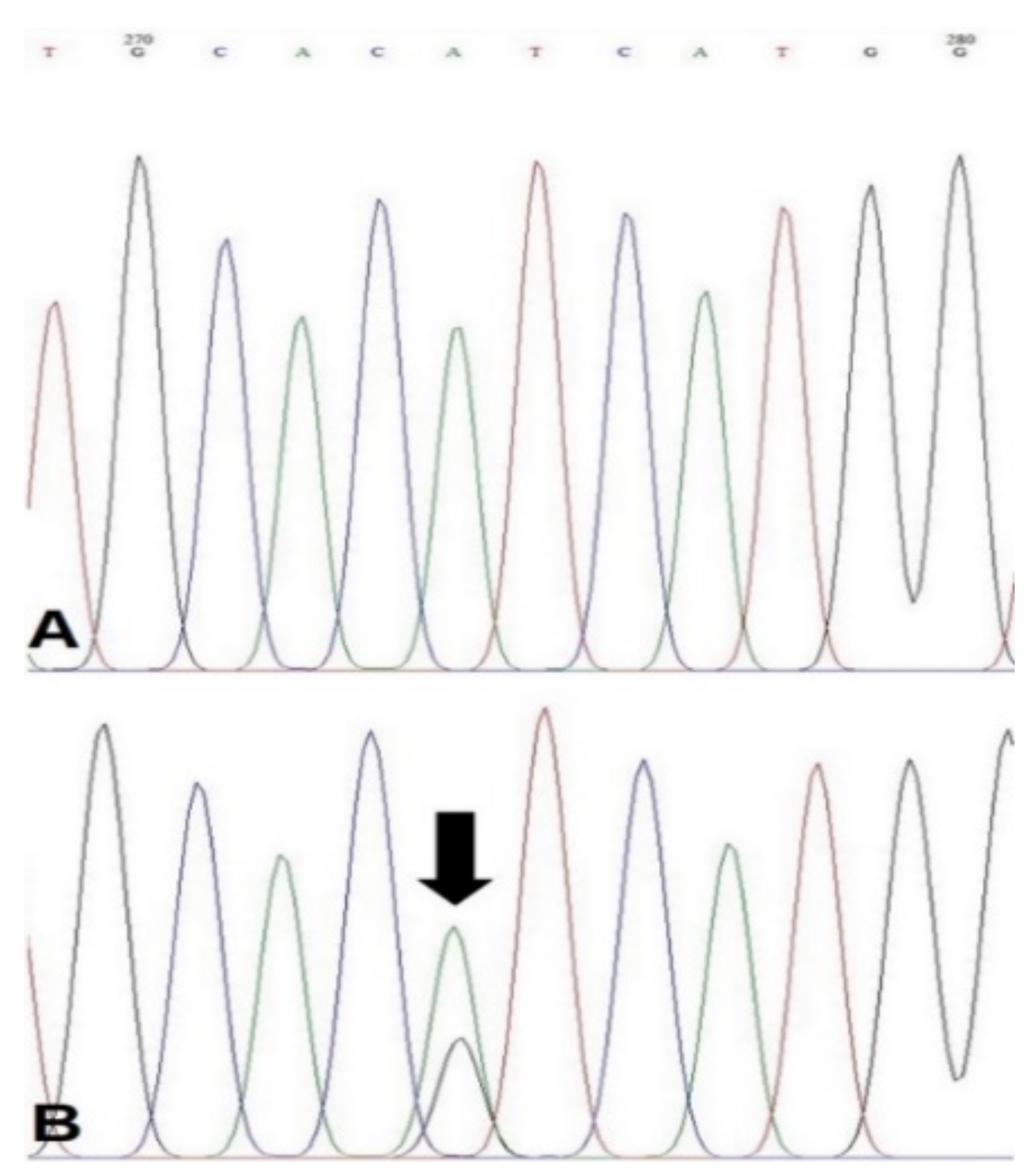 Animals 11 02079 g001