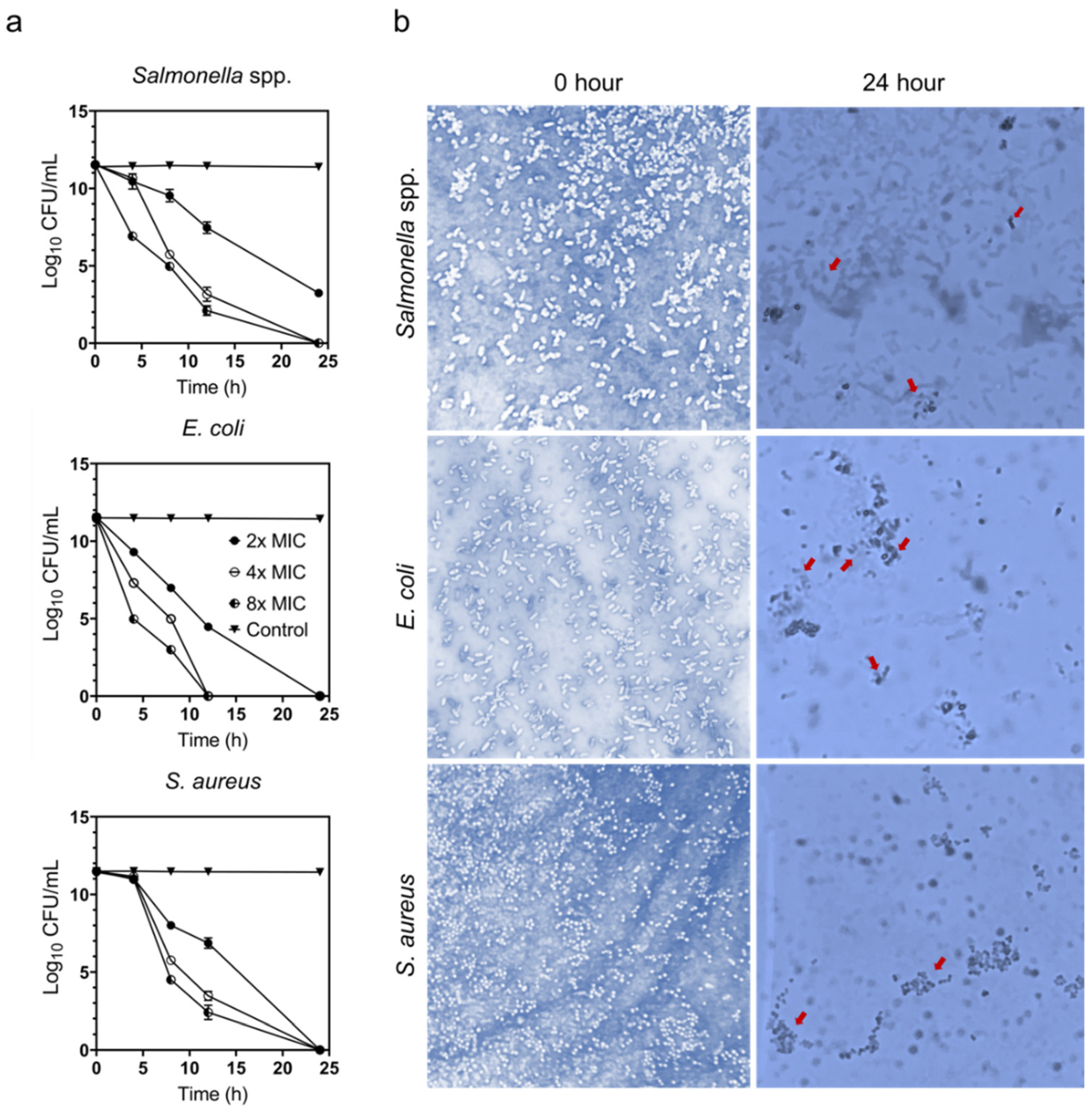 Animals 11 02093 g005