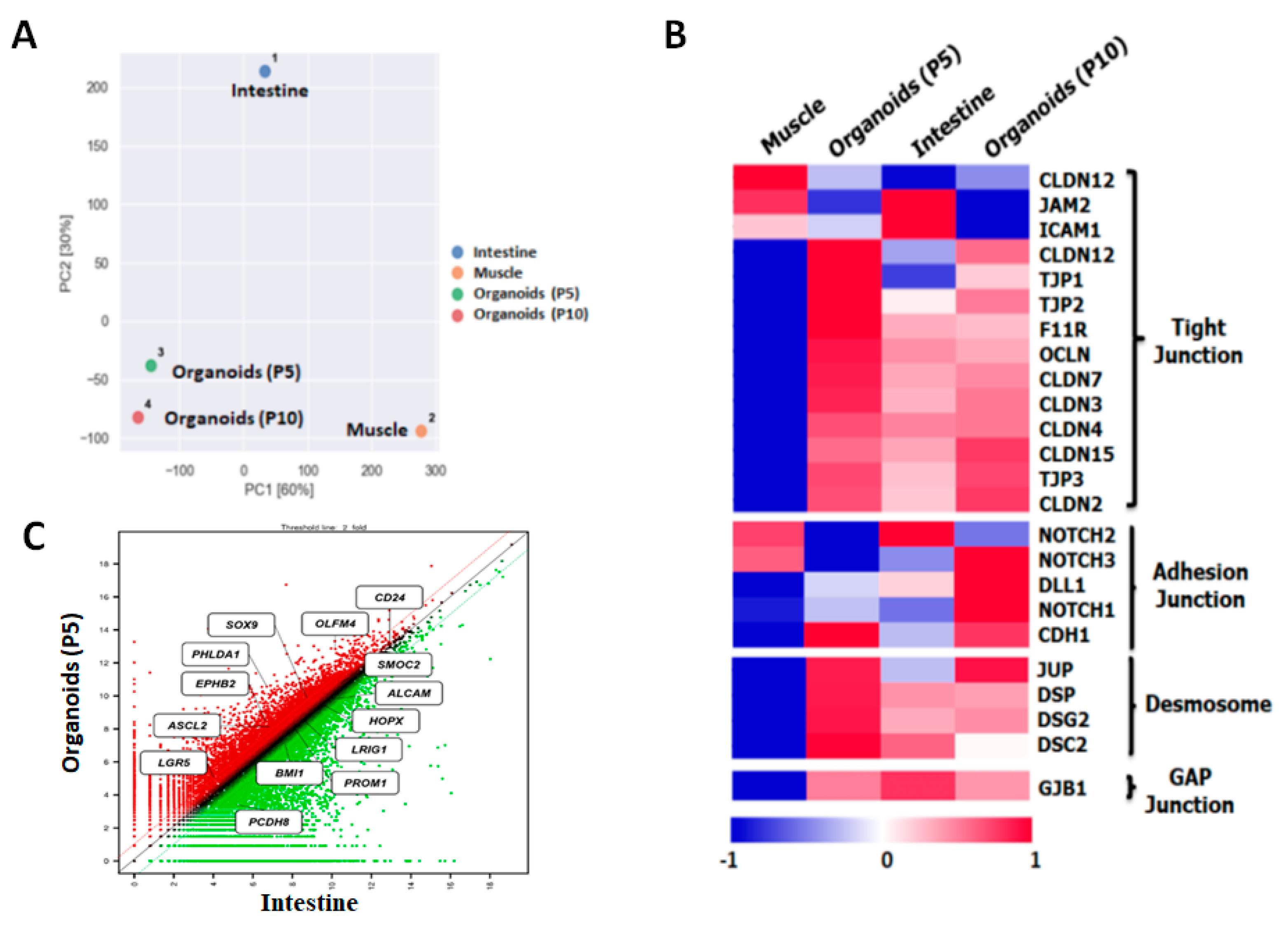 Animals 11 02115 g004