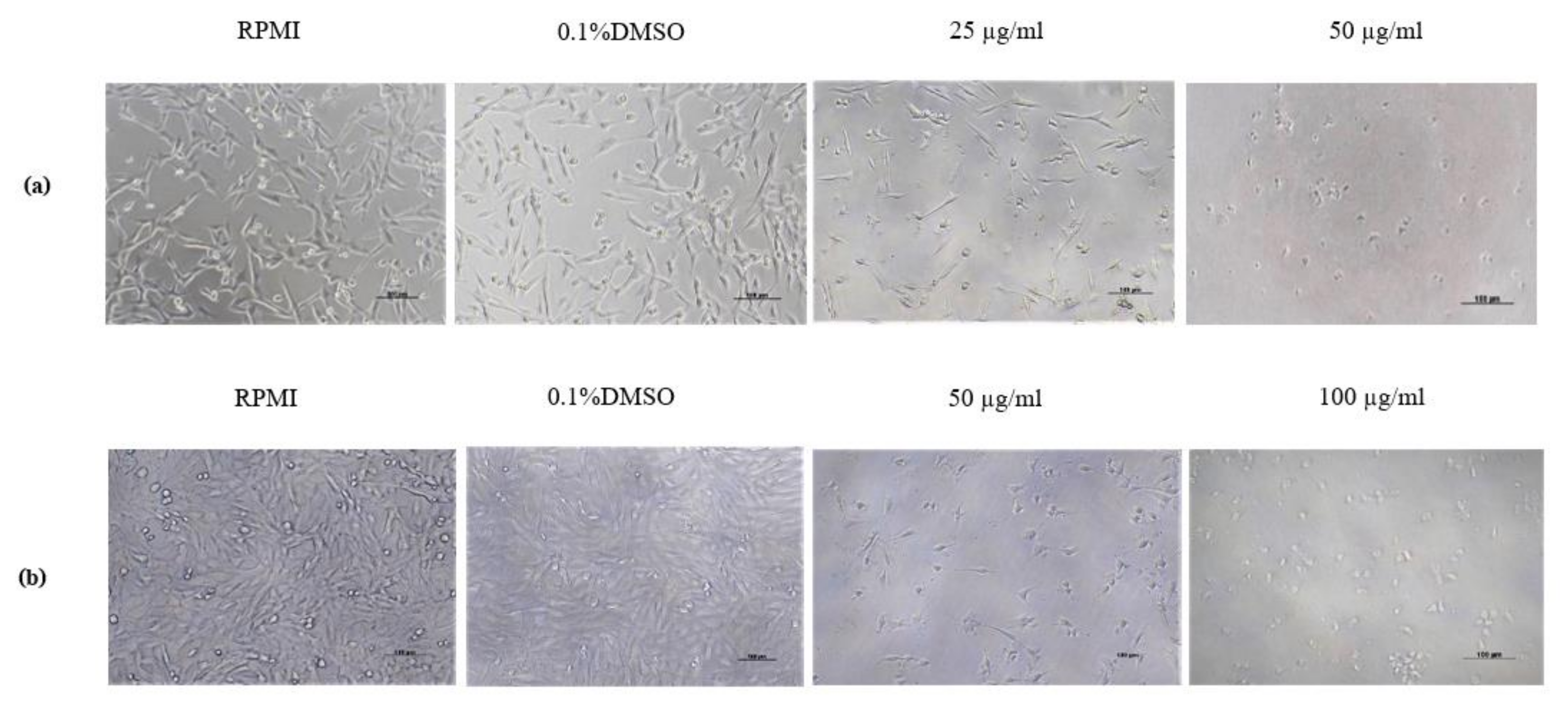 Animals 11 02119 g002