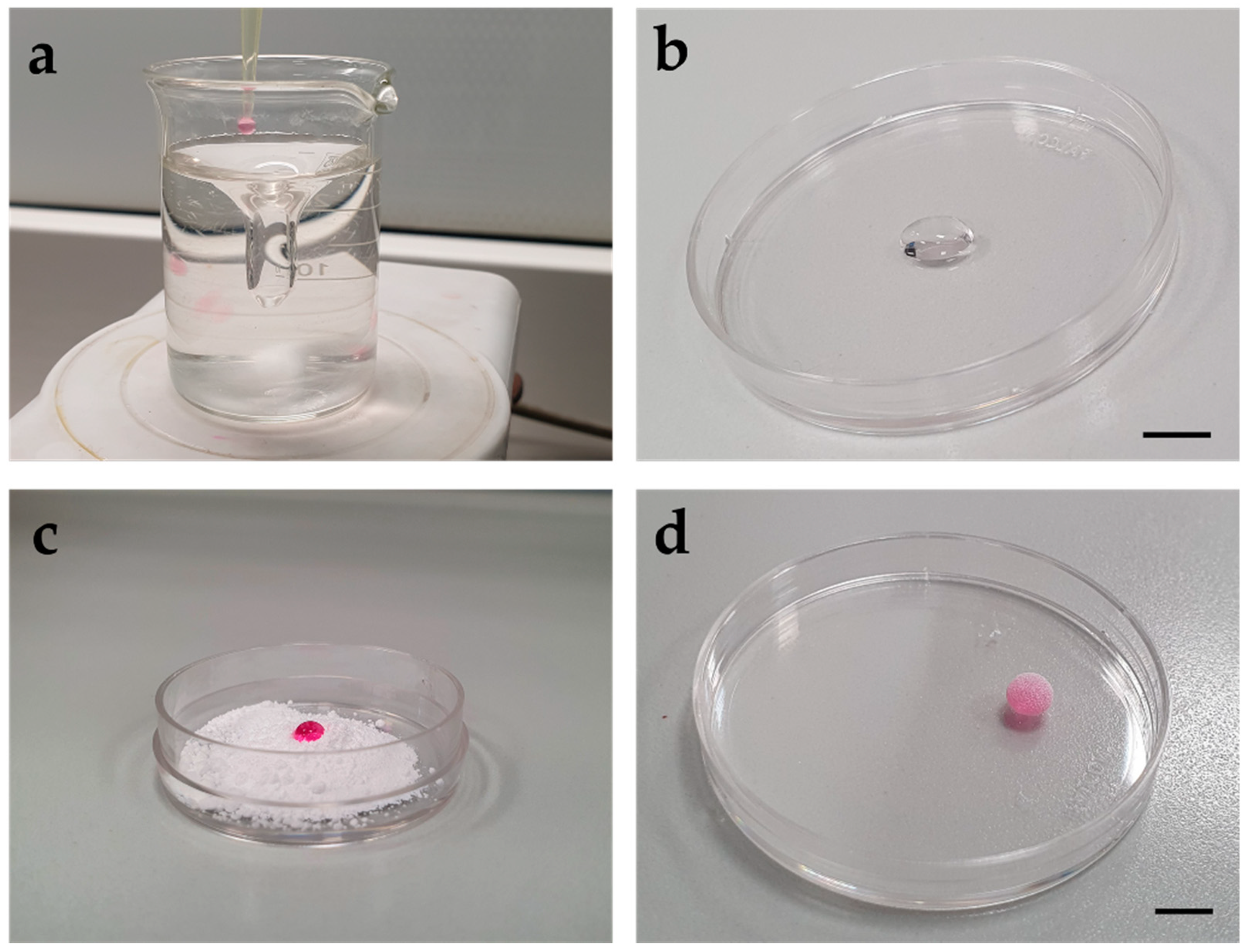 Animals 11 02135 g001